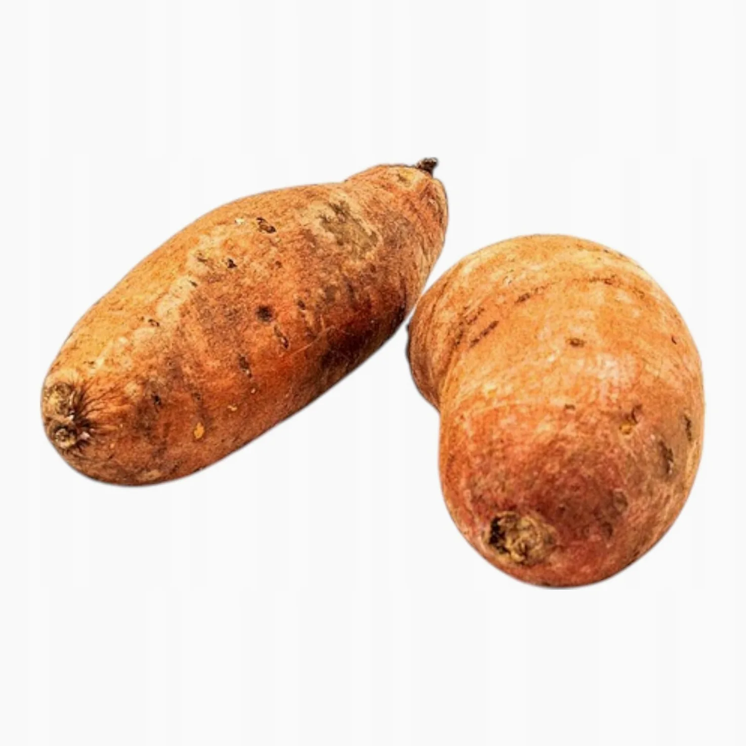 ONTARIO SENIOR MONO 12KG Karma Monoproteinowa dla Starszych Psów z Indykiem
