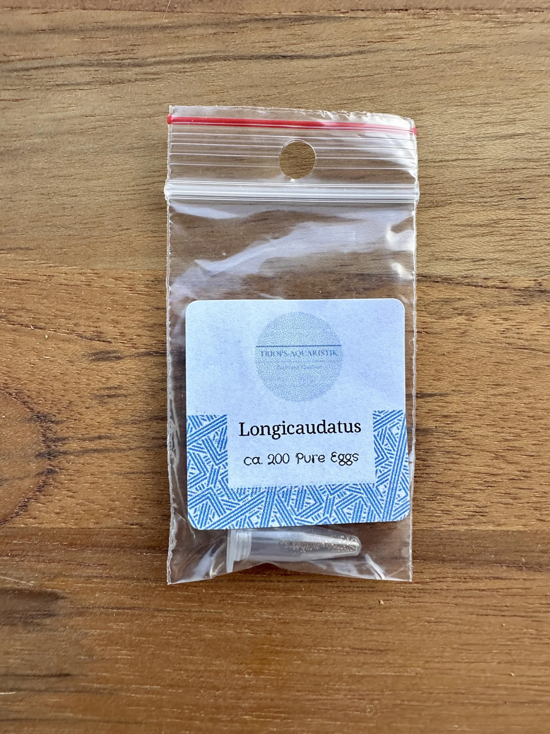 Kopia Triops Longicaudatus ok. 200 Pure Eggs (1 kapsułka)