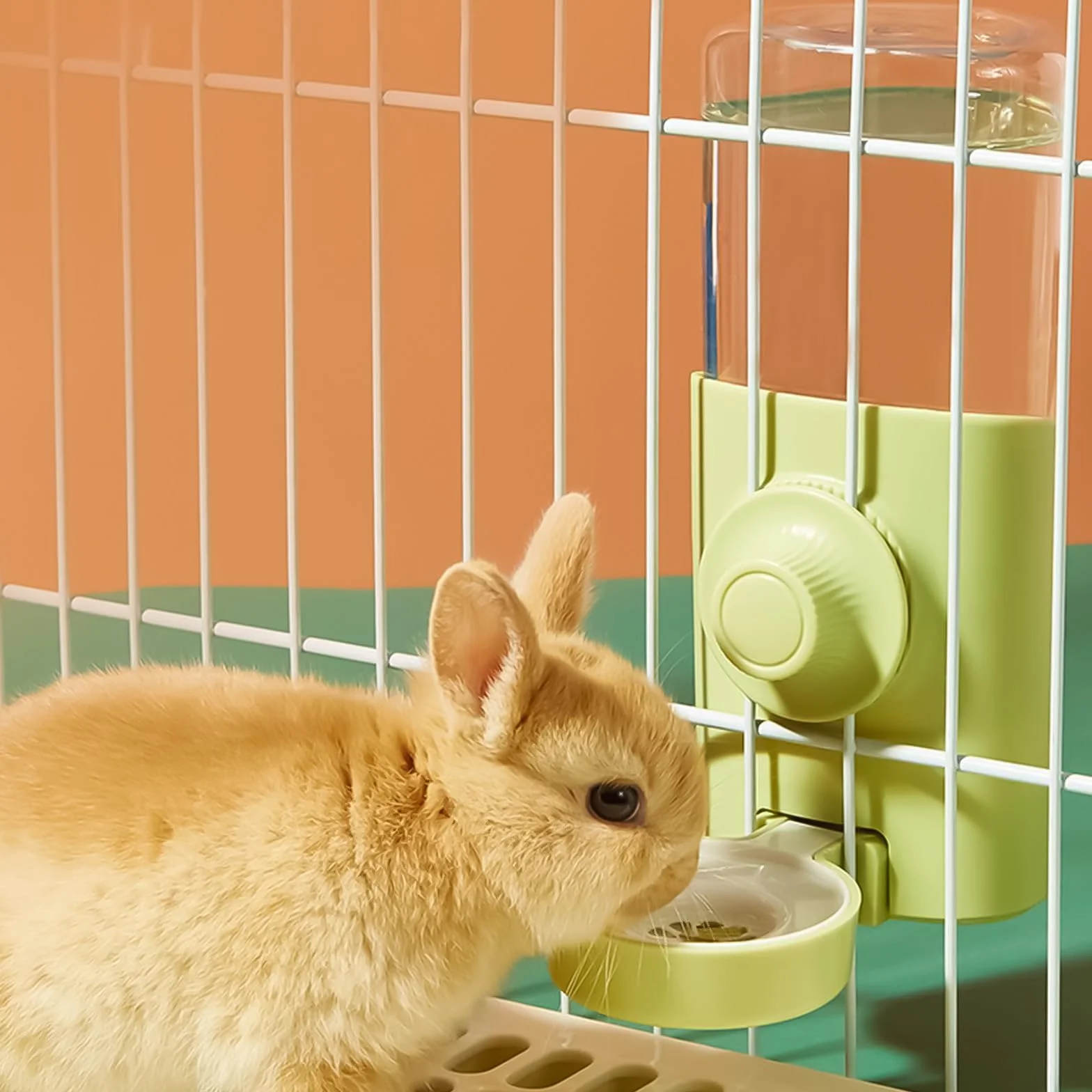 Xinlie automatyczny dozownik wody dla królików i małych zwierząt, 600 ml, zasilany grawitacją