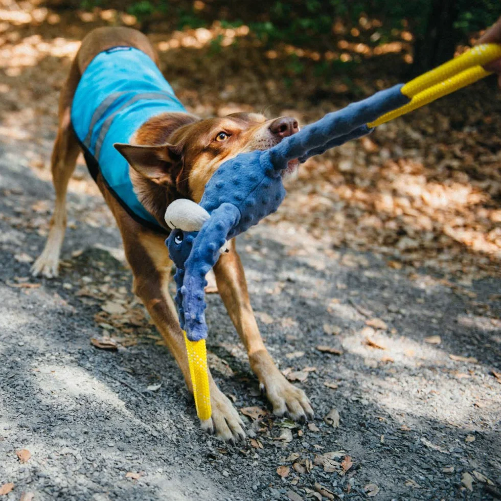 ZippyPaws - Małpa Lina Tugz, Piszcząca i Pluszowa Lina Zabawka dla Psa - Niebieska