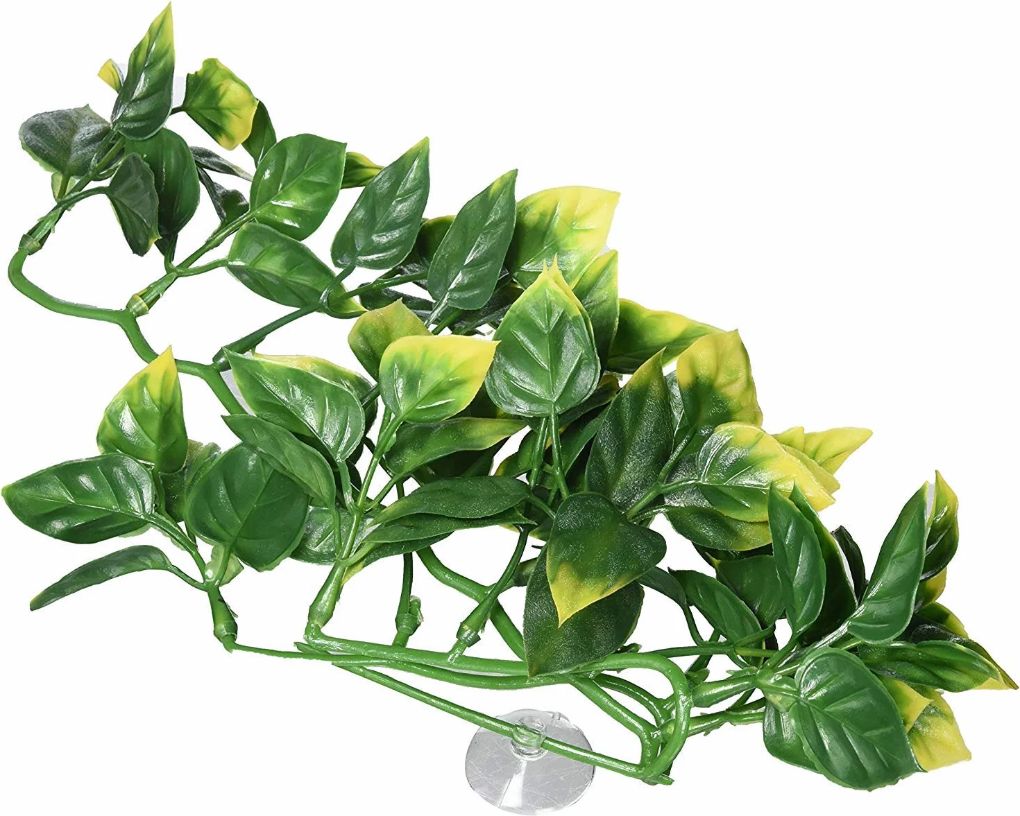 Exo Terra PT3001 plastikowa roślina amapalot, mały