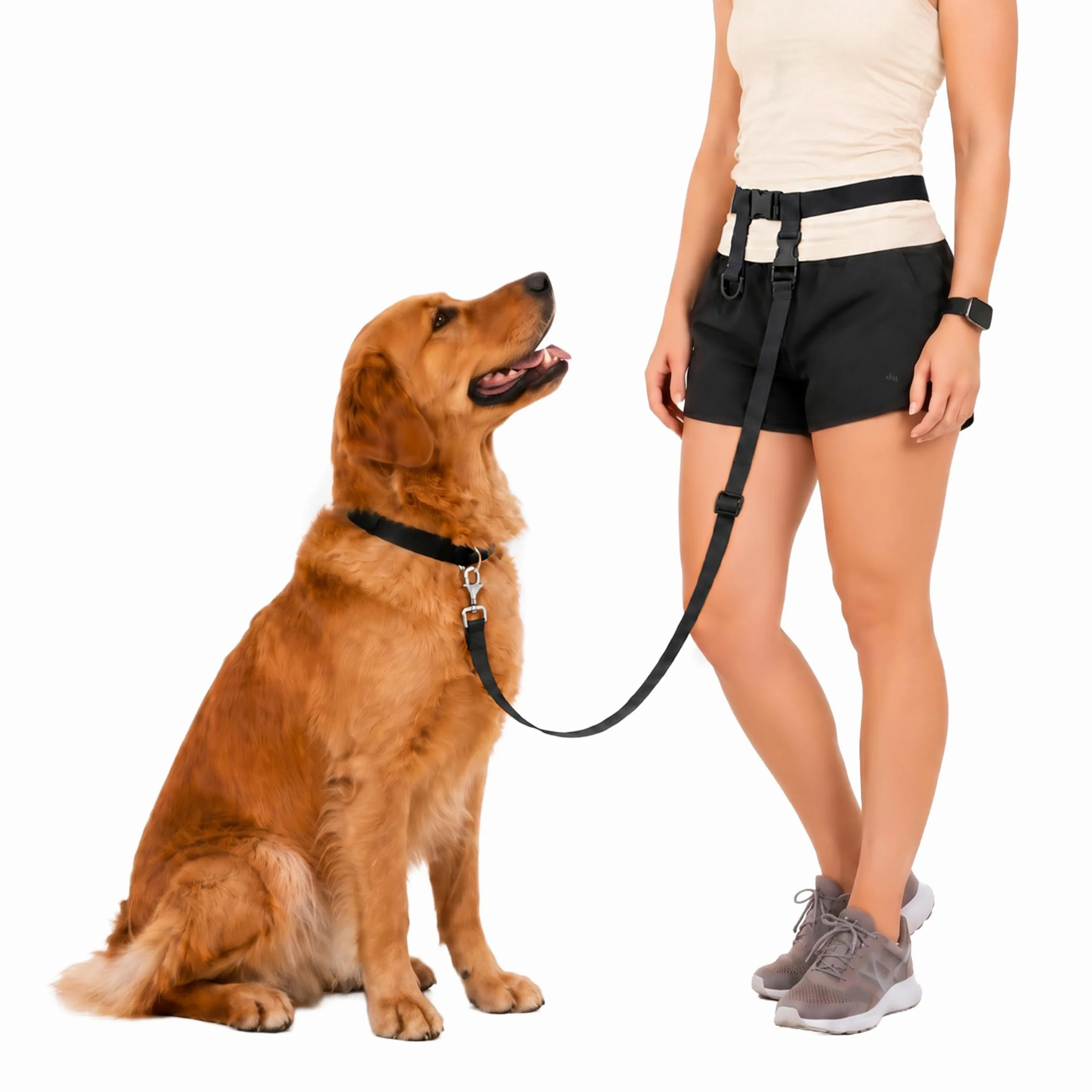 The Buddy System Wyprodukowano w USA regulowana smycz bez użycia rąk, idealna do biegania, regularnego systemu dla psów, XL, czarna od The Buddy System