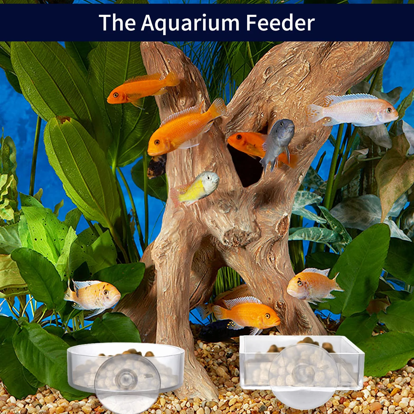cobee Miska do karmienia akwarium, 2 sztuki naczynia do karmienia krewetek ryb, akrylowe, przezroczysta taca do karmienia krewetek, zbiornik, miski do karmienia z przyssawką, miska na wodę dla gadów
