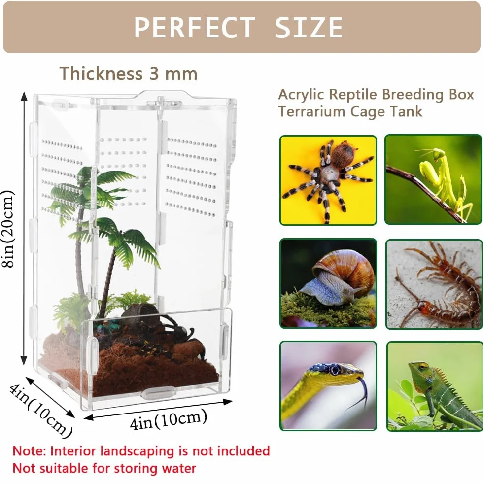 Akrylowe mini pudełko transportowe gadów, 360°, przezroczyste pudełko do hodowli ślimaków, tarantuli, jaszczurek, skorpionów, chrząszczy (20 x 10 x 10 cm)