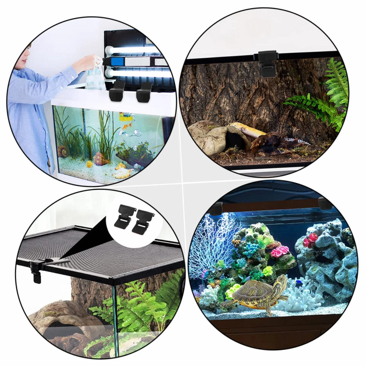 FRCOLOR 6 Sztuk - Blokada Ewakuacyjna Części Do Terrarium Dla Żółwi Zatrzask Zbiornika Dla Gadów Dla Zwierząt Domowych Terrarium Dla Żółwi Dostaw Zatrzask Zbiornika Dla Gadów Szklana