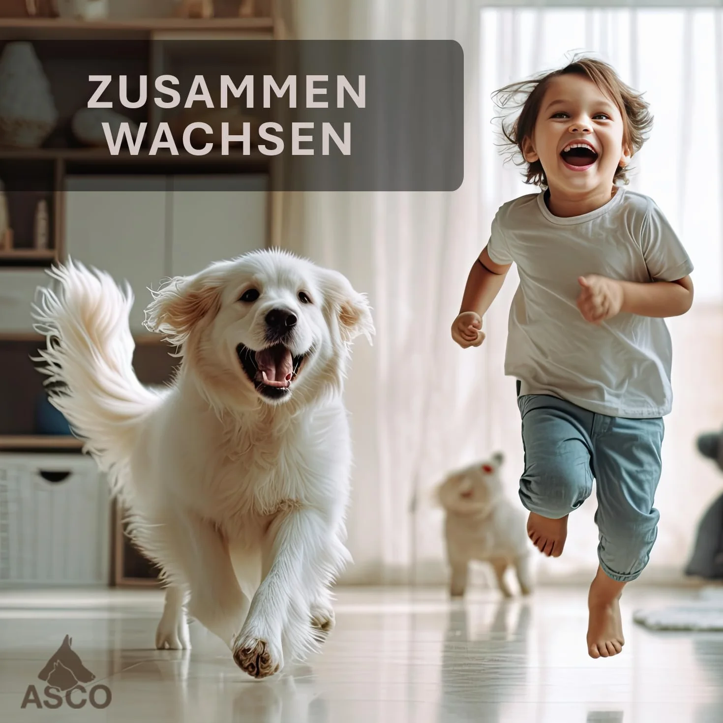 ASCO Target Stick AC01TS bransoletka ze stretchu dla psów, kotów, koni, trening i edukacja, stal nierdzewna, celownik teleskopowy, 17-73 cm, czarny