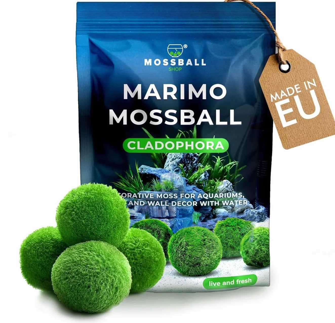 20 + 1 szt. kule mchu akwarium Cladophora aegagropila linneiae mech rośliny akwariowe rośliny wodne dekoracja rośliny prawdziwe marimo piłki mchu akwarium marimo moosball (1-3 cm)