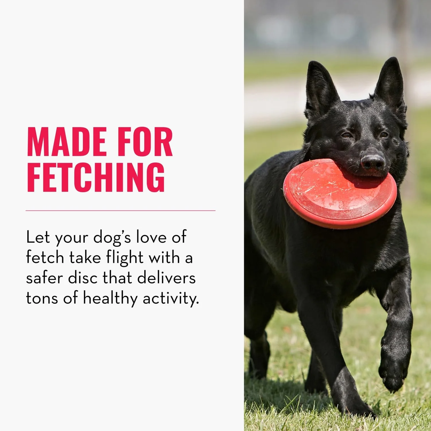 KONG ulotka – wytrzymała frisbee dla psów z naturalnego kauczuku – dla dużych psów