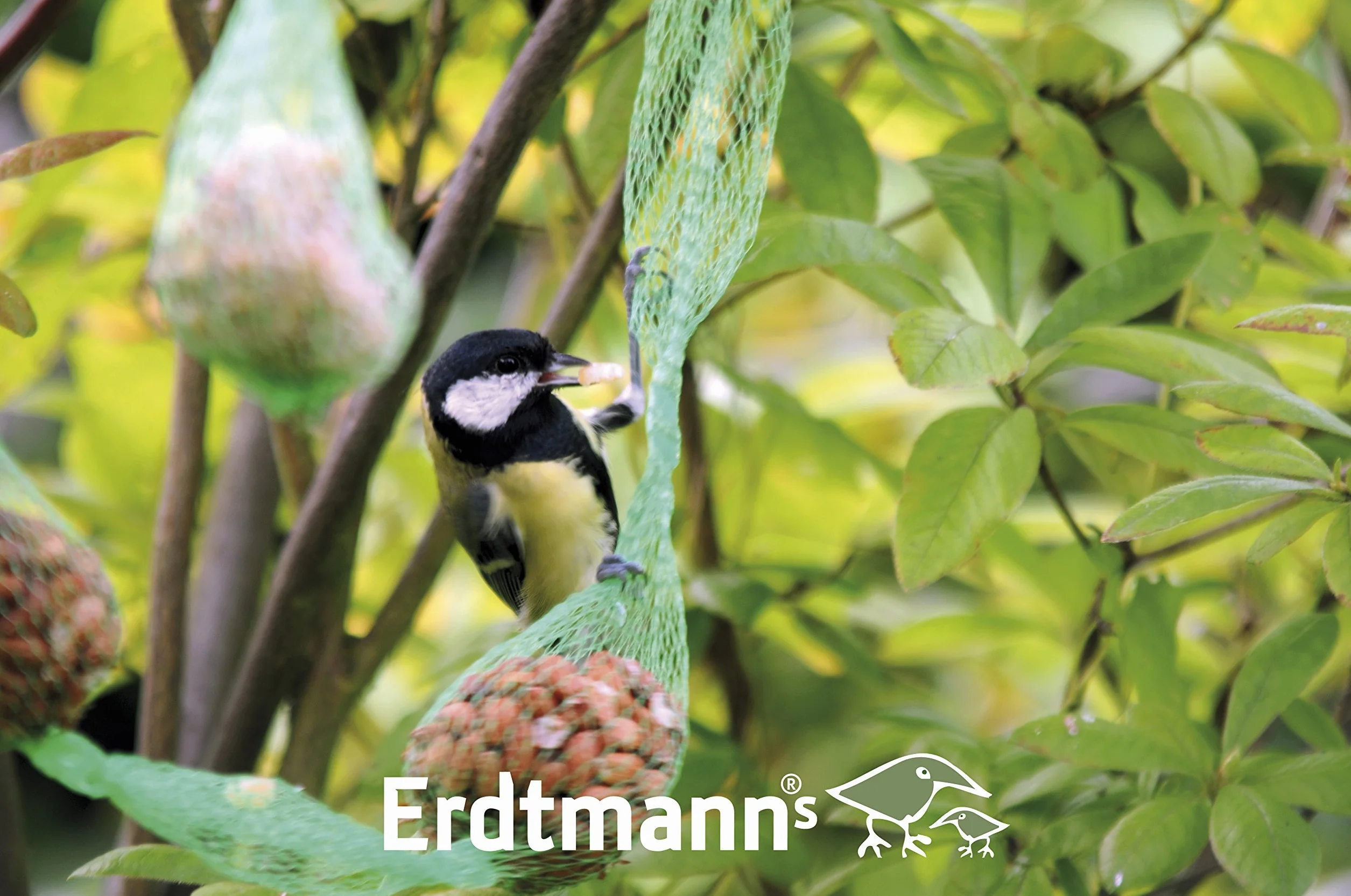 ERDTMANNS - 12 Nussketten (8 teilig) für Wildvögel