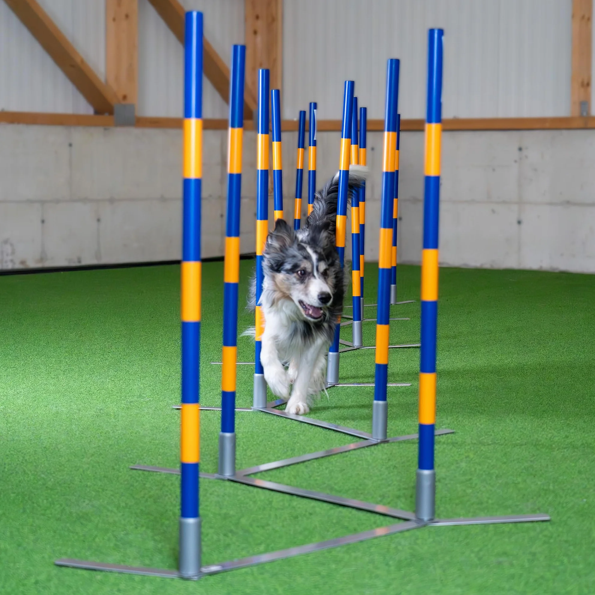 Callieway Orig Agility Slalom, TRICHTERSLALOM®, Gassenslalom, Agility Channel Weaves (zgodne z FCI)