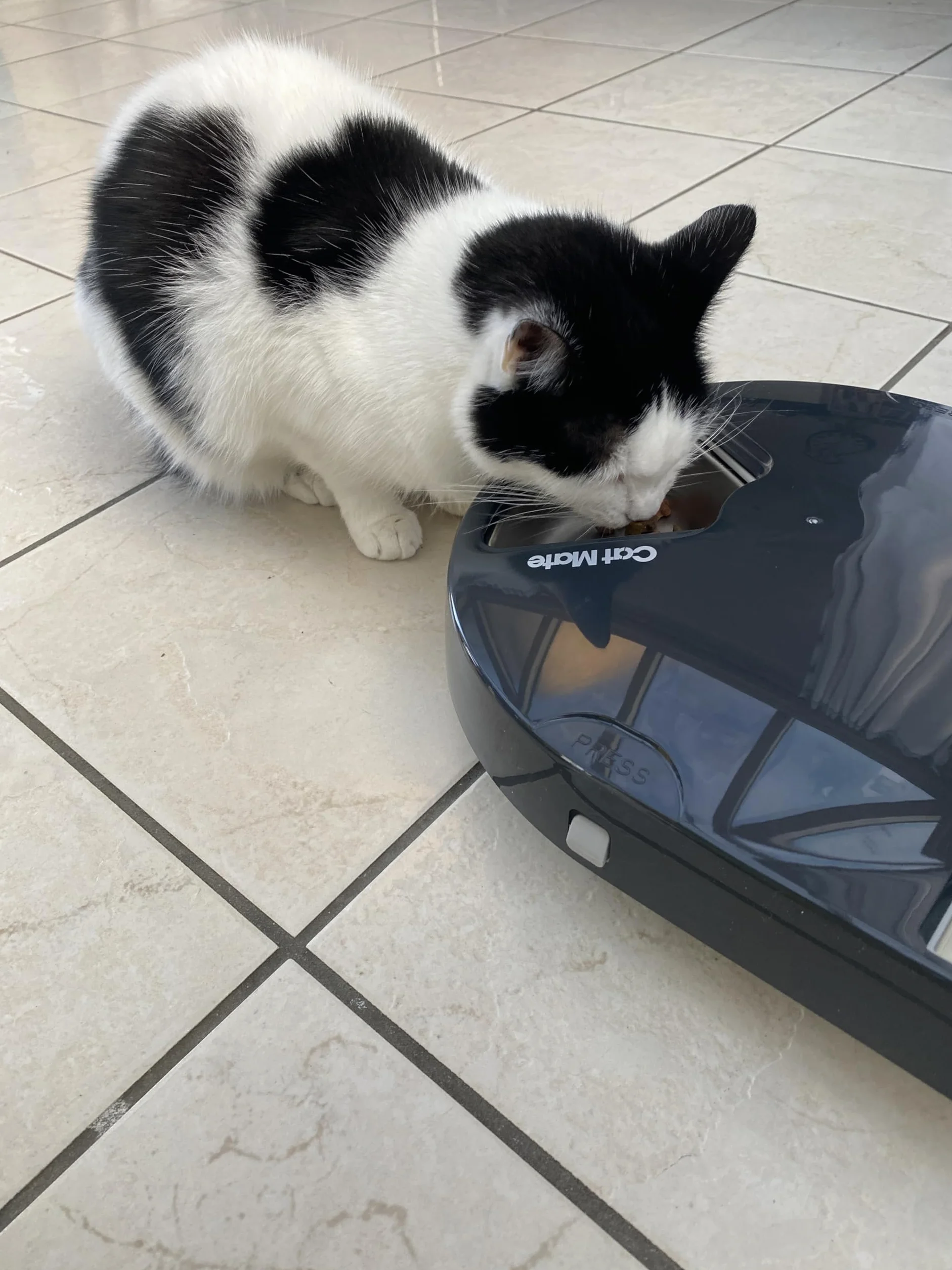 Cat Mate C500 5-miskowy automatyczny podajnik karmy dla zwierząt z cyfrowym timerem – dla kotów i małych psów, karma mokra lub sucha, zawiera dwa wkłady chłodzące, 5 posiłków do 330 g każdy, szary