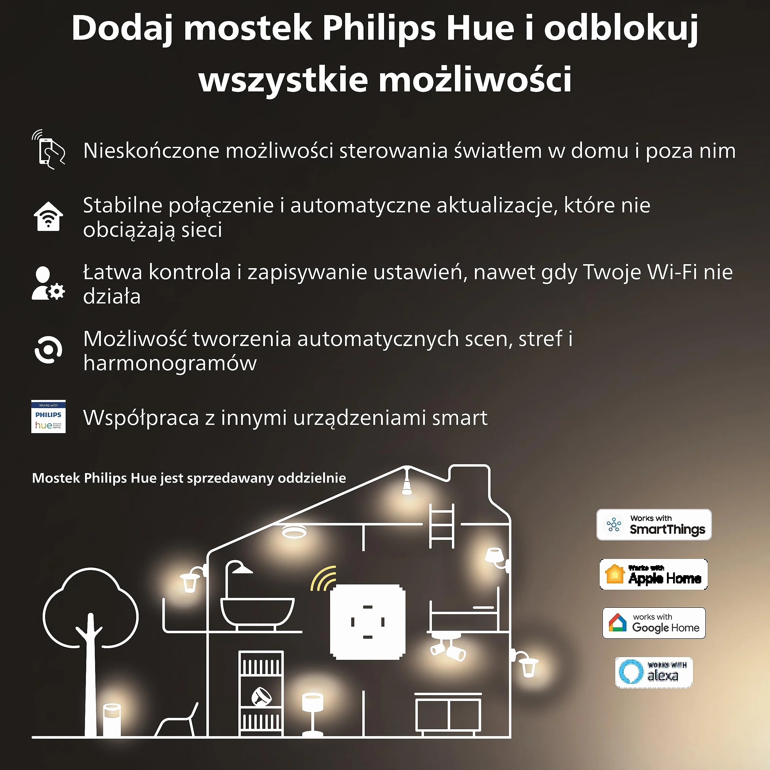 Philips Hue Outdoor Niskonapięciowy zasilacz zewnętrzny [do 100 W], do inteligentnego oświetlenia zewnętrznego Philips Hue, czarny