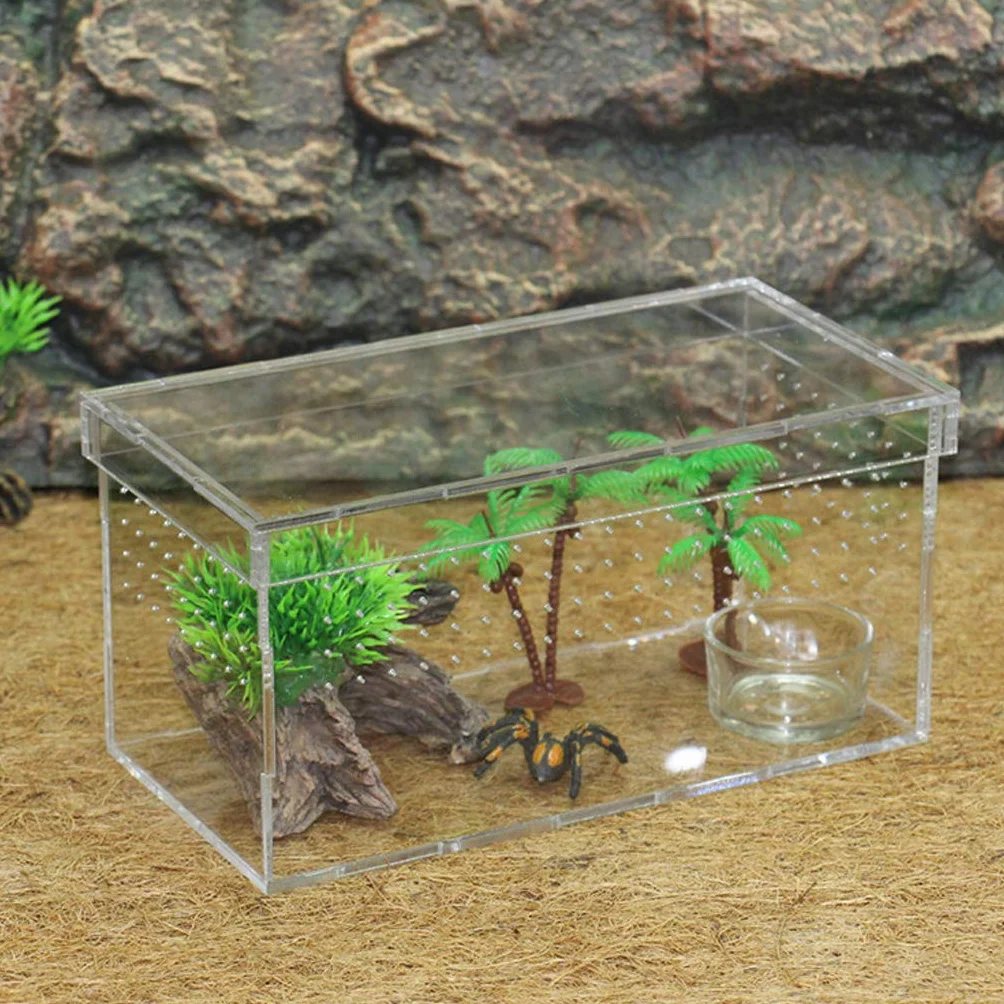 Pudełko terrarium dla gadów i płazów węże jaszczurki żółwie pająki