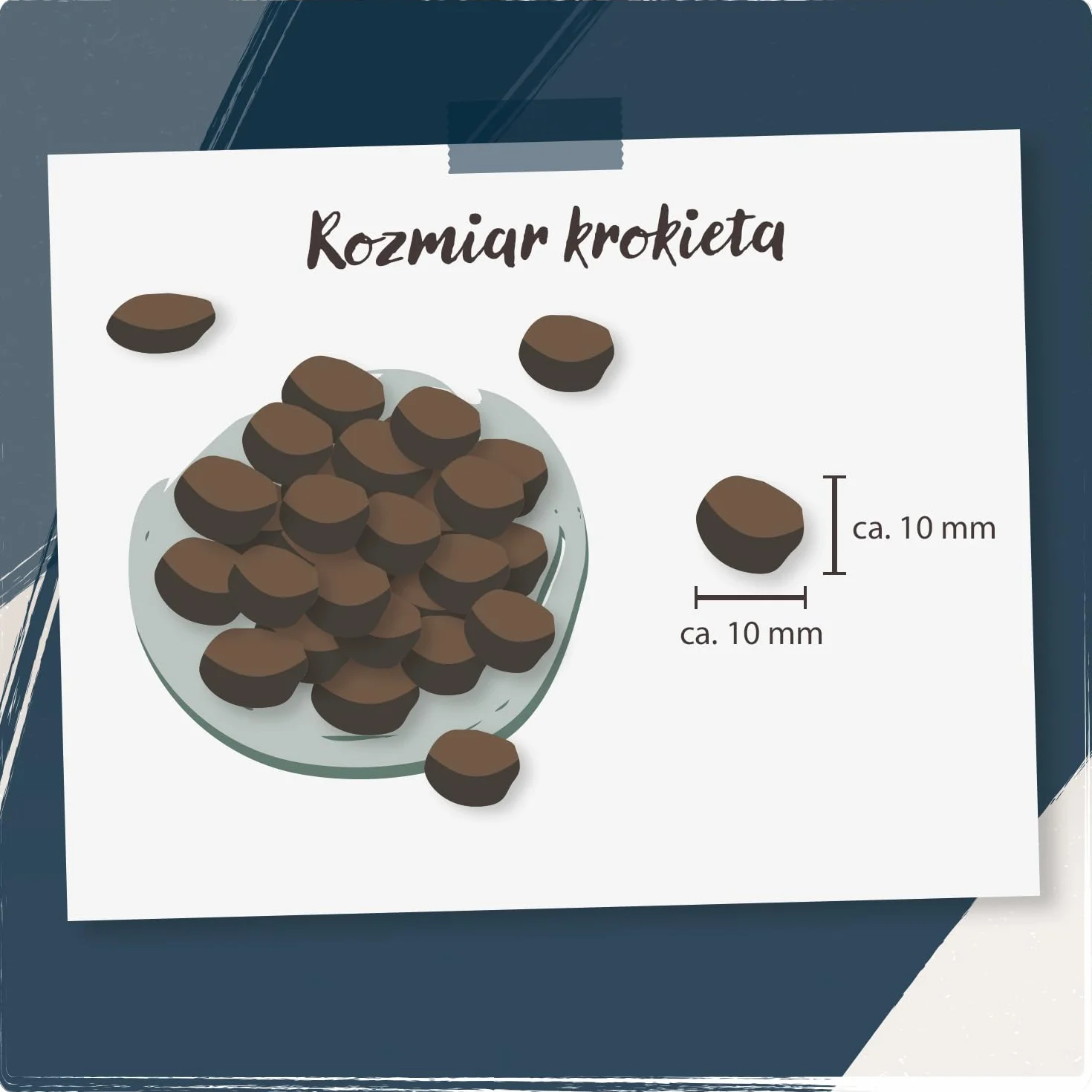 VenandiAnimal Wysokiej jakości karma dla kotów - jagnięcina, ze świeżym mięsem, sucha karma, bez zbóż, 1 opakowanie (1 x 1,5 kg)