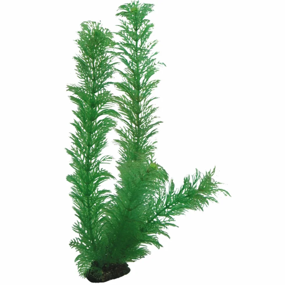Hobby Egeria, 34 cm