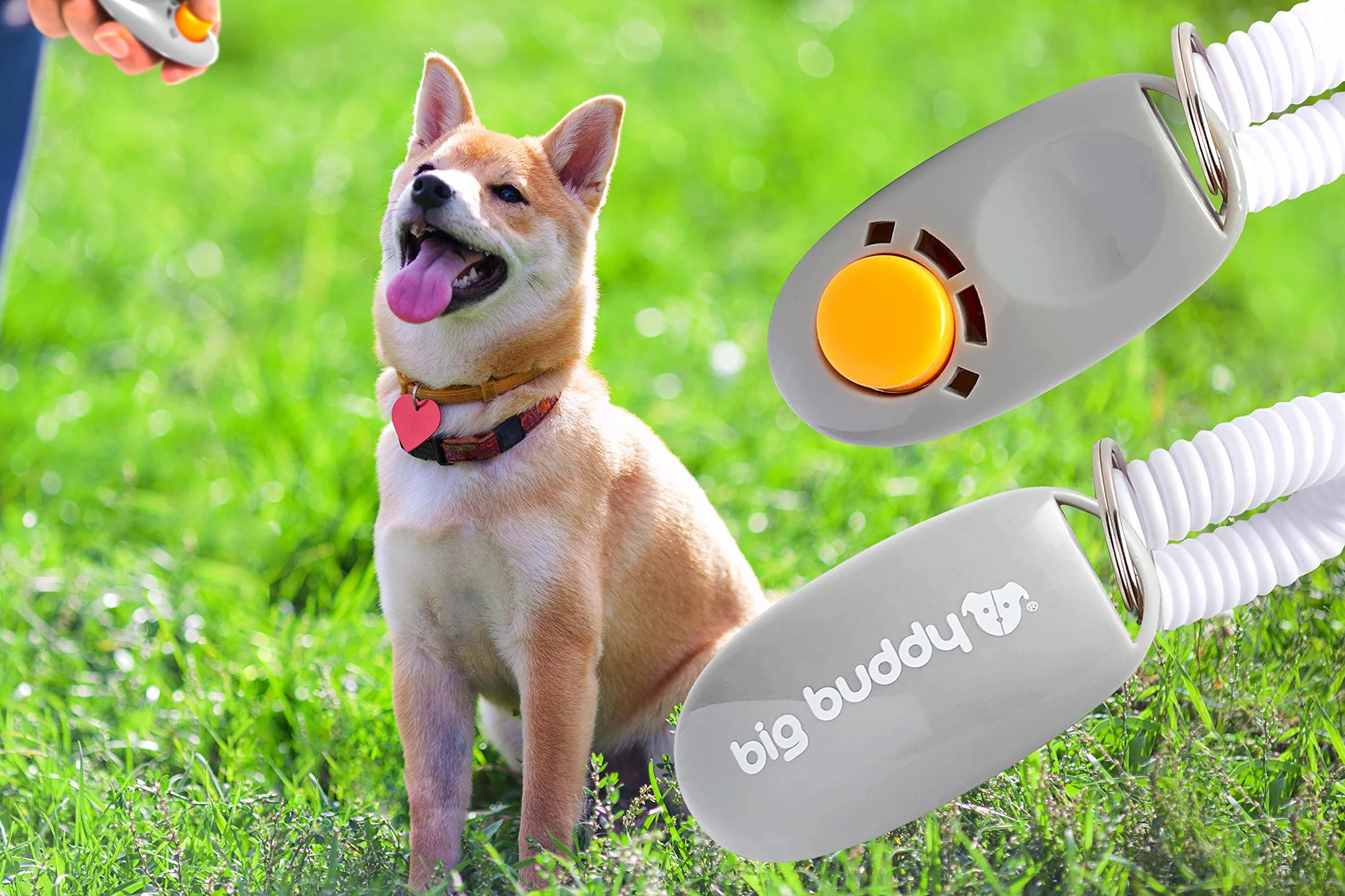 big buddy® Profesjonalny clicker z elastycznym paskiem na rękę | clicker dla psów, kotów i koni, trening psów