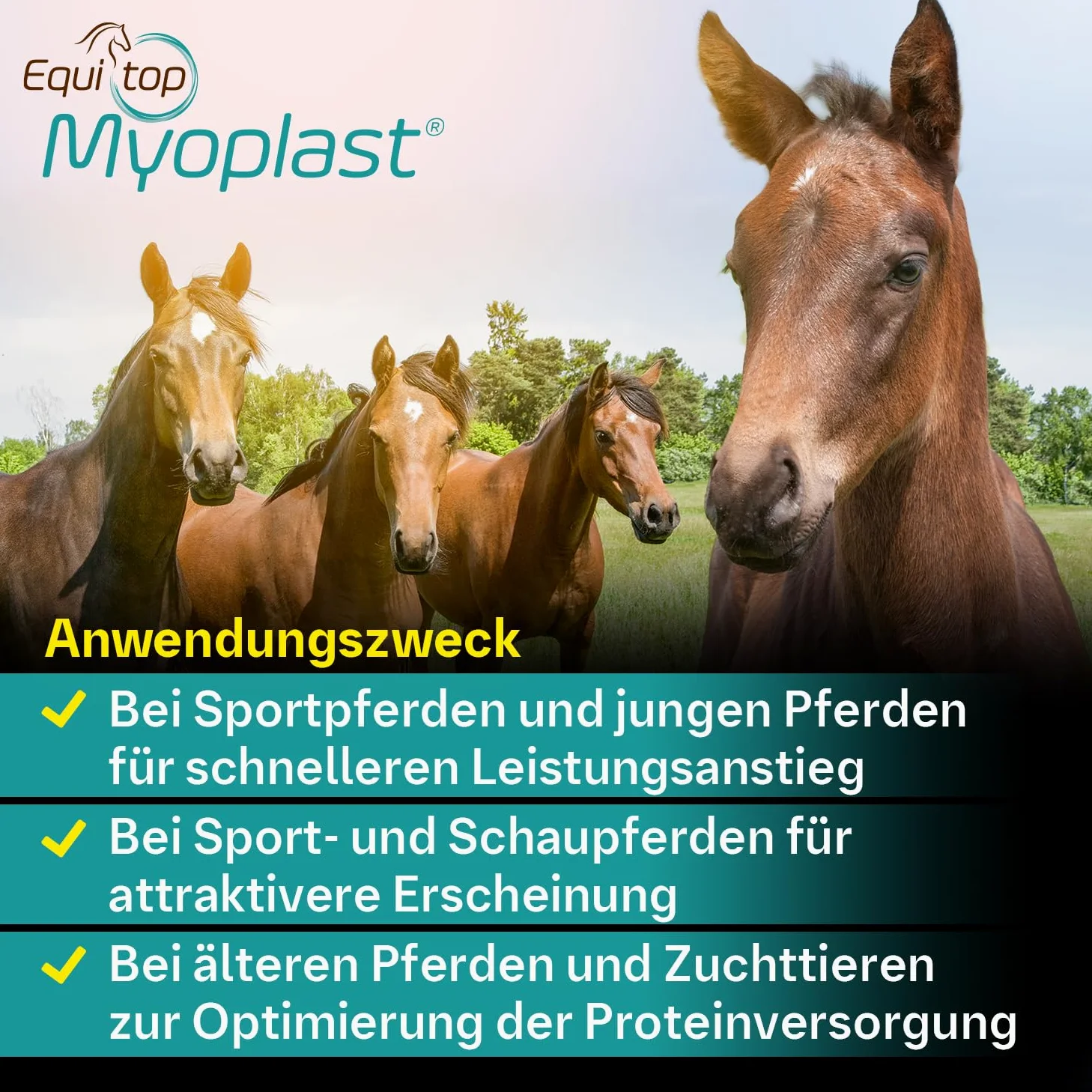 EQUITOP Myoplast granulat do budowy mięśni dla koni, 1,5 kg