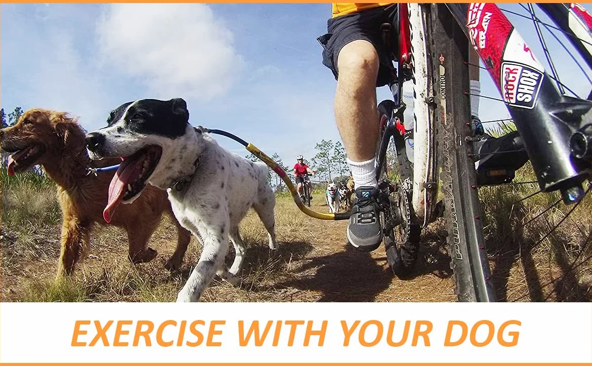 1-Biegnący pies Bike Tow Leash Bike Tow Leash - żółty od Leon Engineering