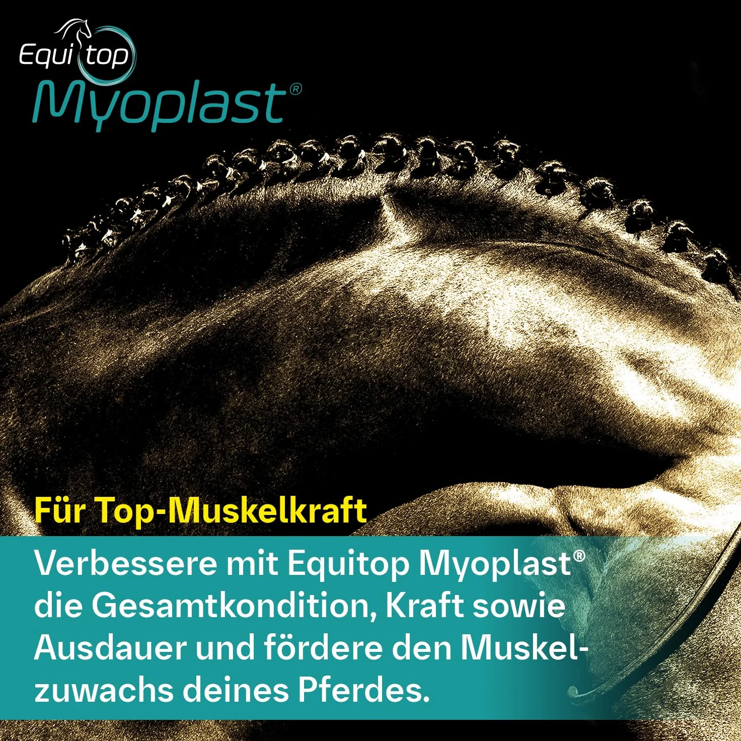 EQUITOP Myoplast granulat do budowy mięśni dla koni, 1,5 kg