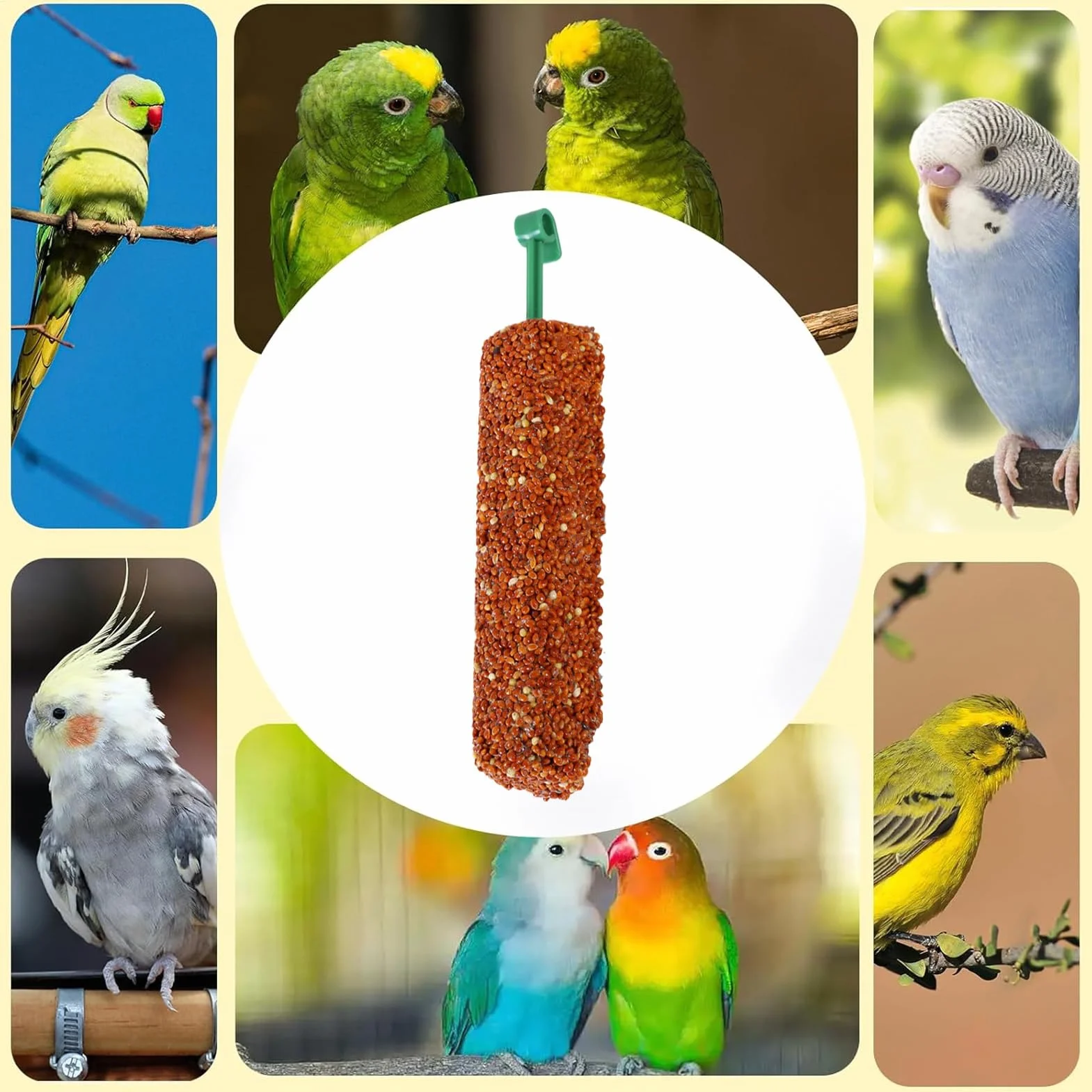 Parakeet Treats Sticks, Bird Snack Two, 5.51x0.98x0.98 inches Foraging Chew Food, Training Reward Bites, Nutritious Blend Formula, Ideal for Parrot, Finch, Myna, Conure Companions