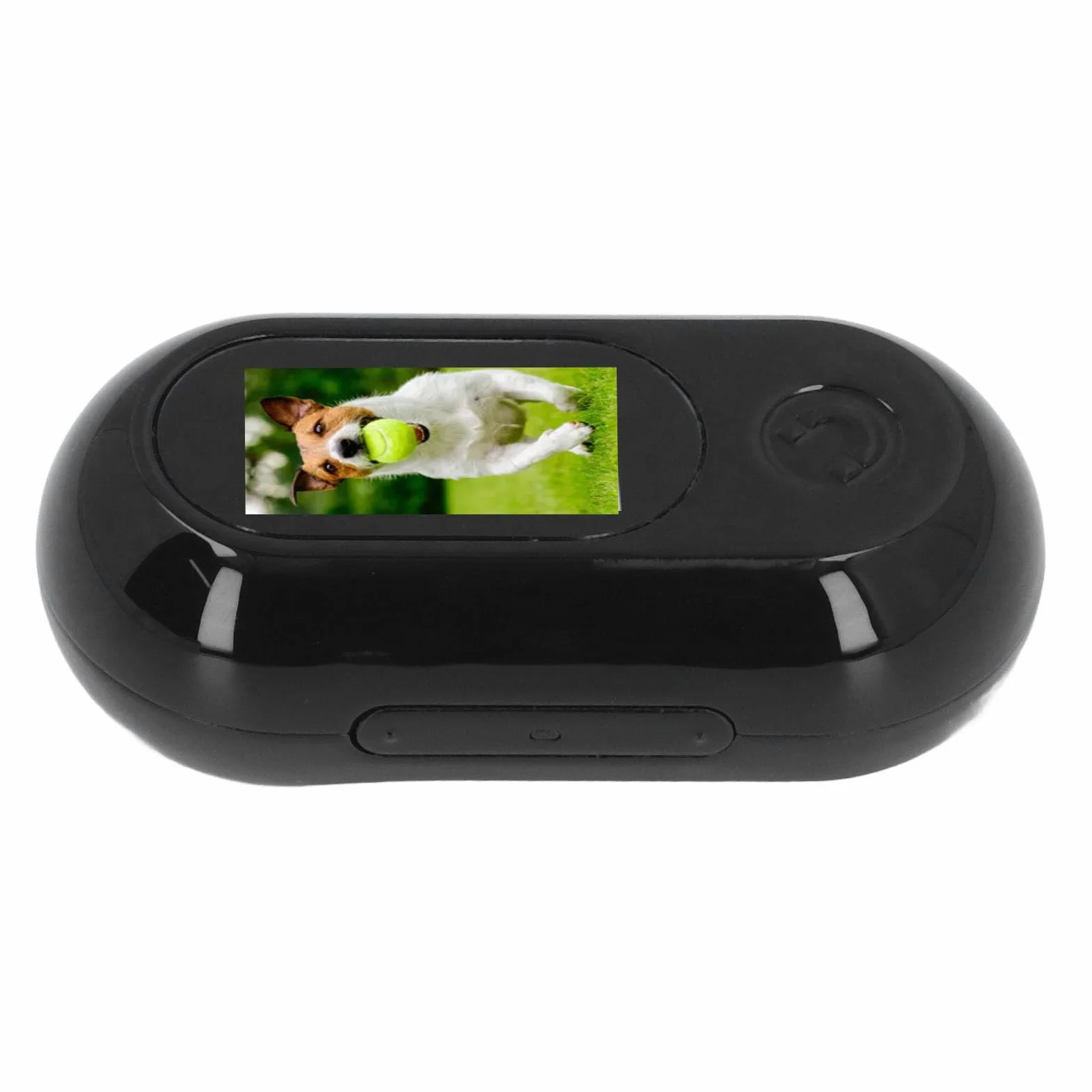 Obroża z kamerą dla Kota, Bezprzewodowa Kamera HD 1080P z obrożą dla Psa z Zapisami Wideo, Mini Kamera Korpusowa Bez Konieczności Wi-Fi, dla Zwierząt Domowych na Zewnątrz (BLACK)