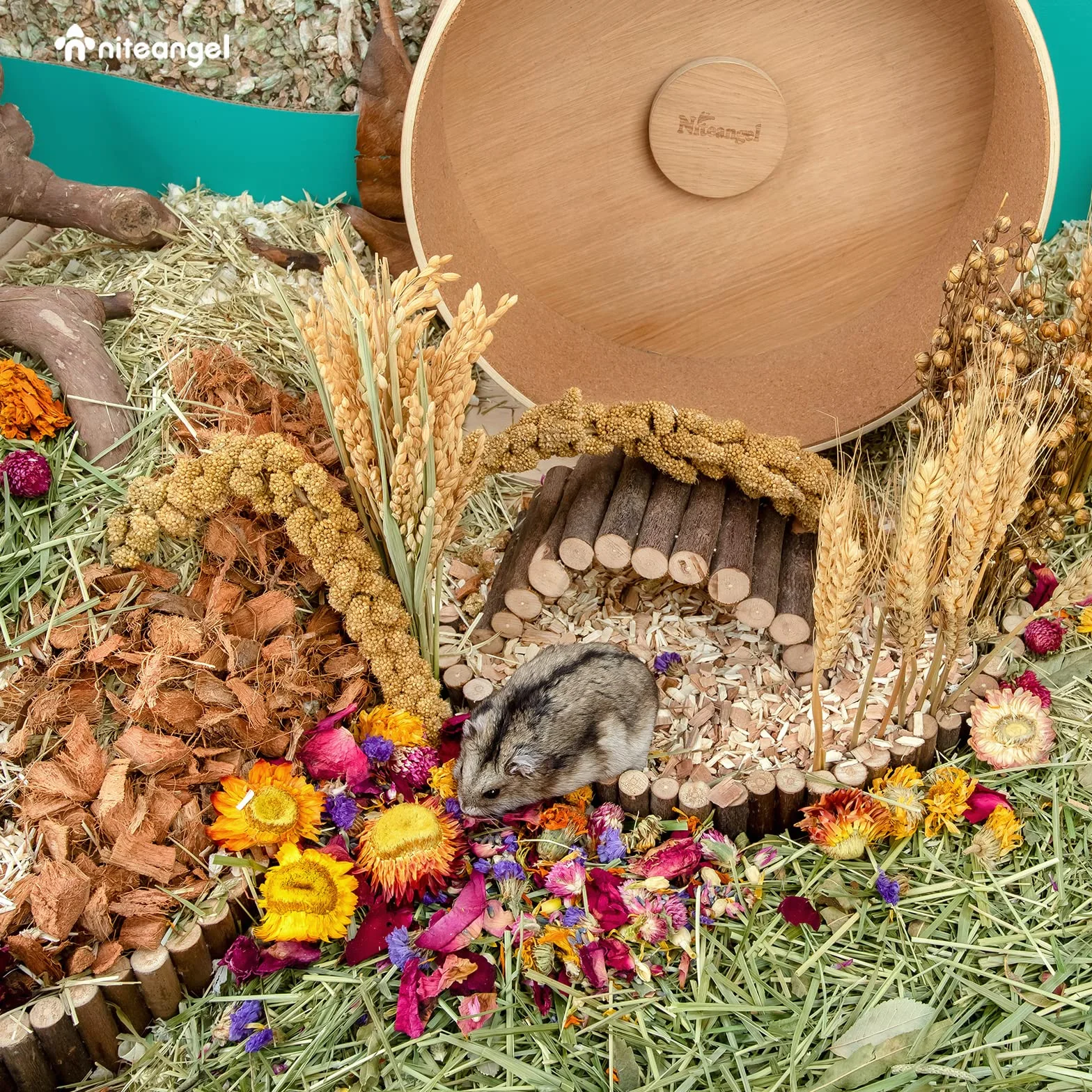Niteangel Naturalna miękka pościel dla chomika Mate siedlisko małych zwierząt dekoracja dla syryjskich chomików karłowatych myszoskoczków myszy królika