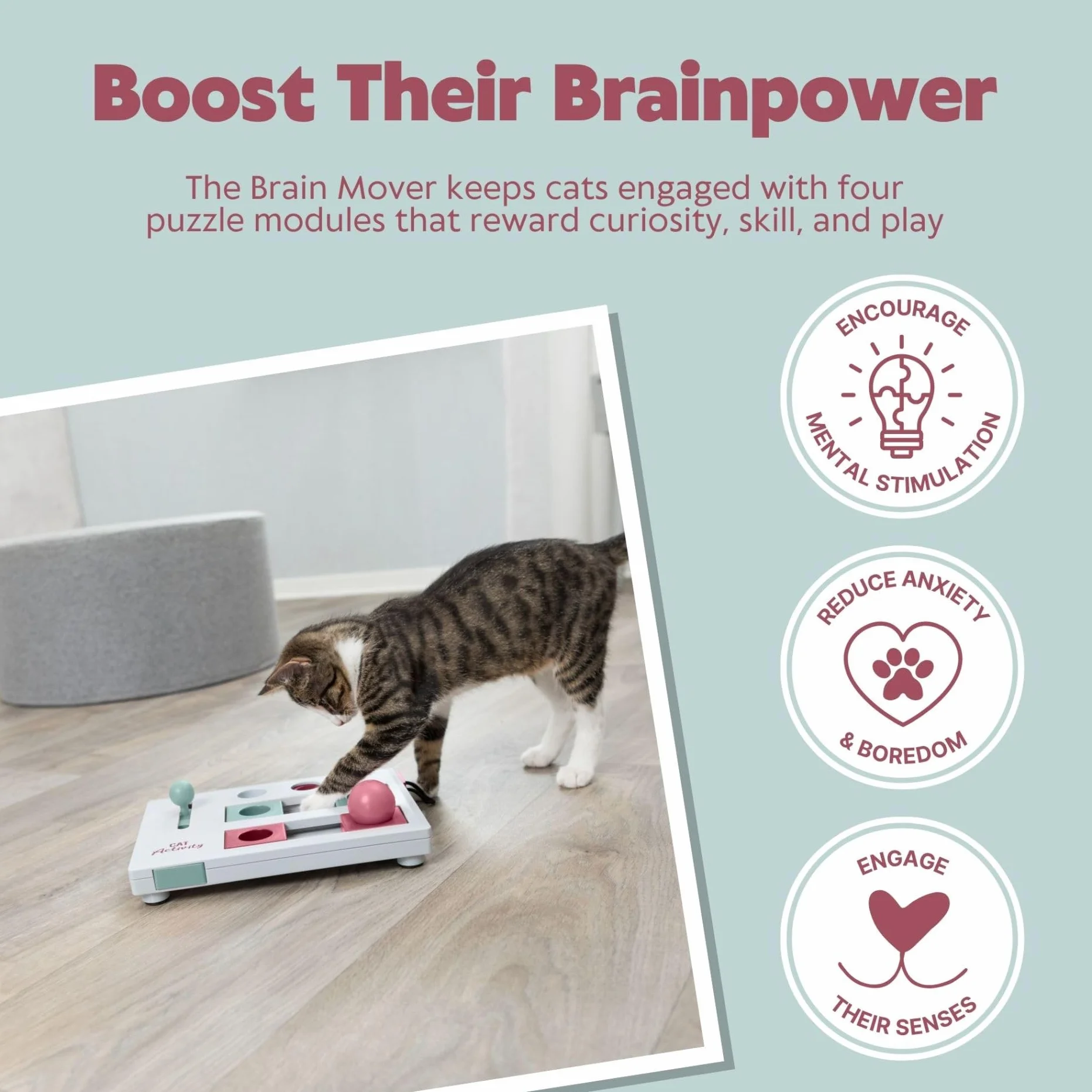 TRIXIE Cat Activity Brain Mover, gra strategiczna stymulacji psychicznej, interaktywna zabawa dla kotów, dozownik smakołyków, zabawka dla kota