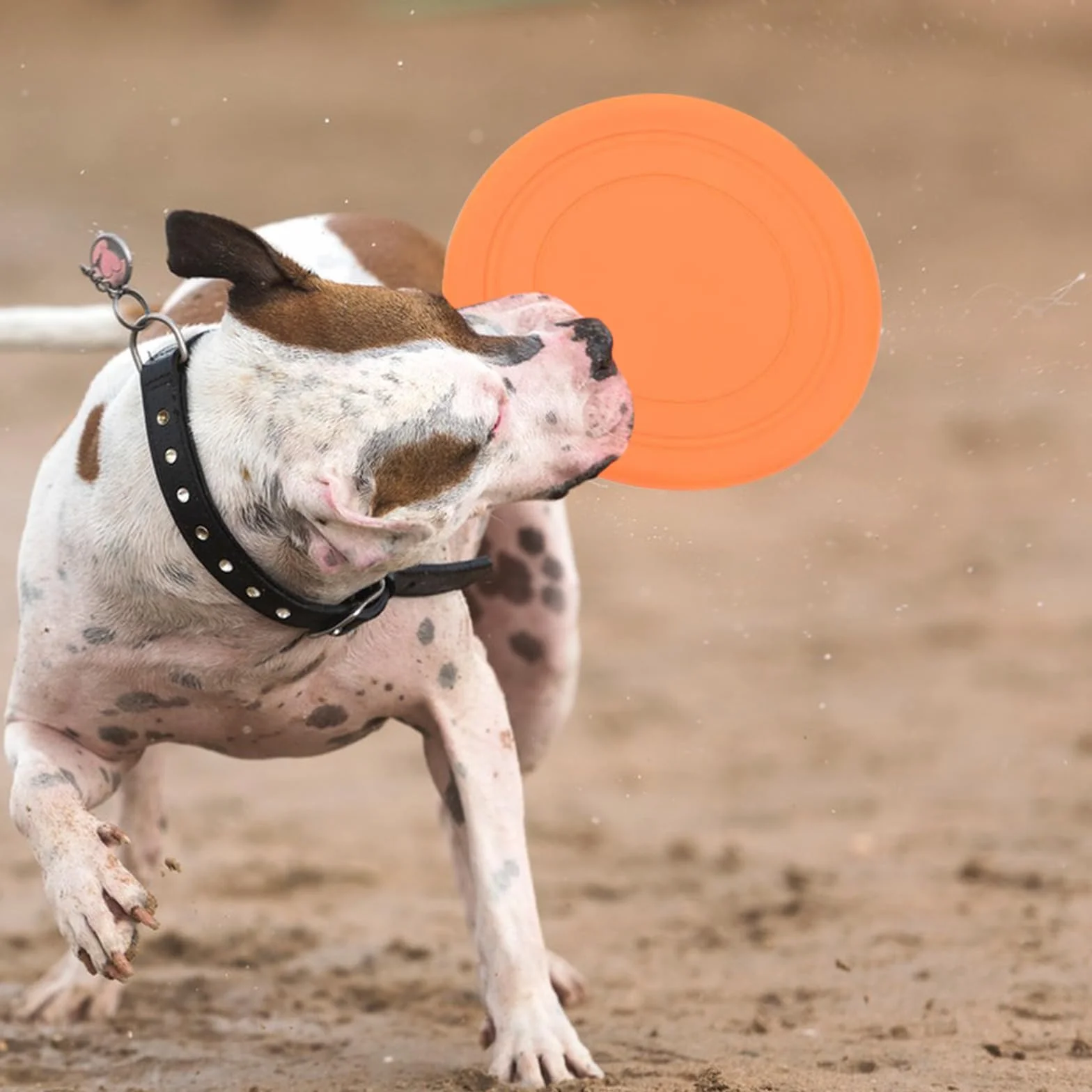 LIXIUHUI 6 szt. niezniszczalny pies frisbee zabawki treningowe, odporne na gryzienie frisbee, szkoleniowe zabawki dla zwierząt domowych, 100% nietoksyczne gumowe
