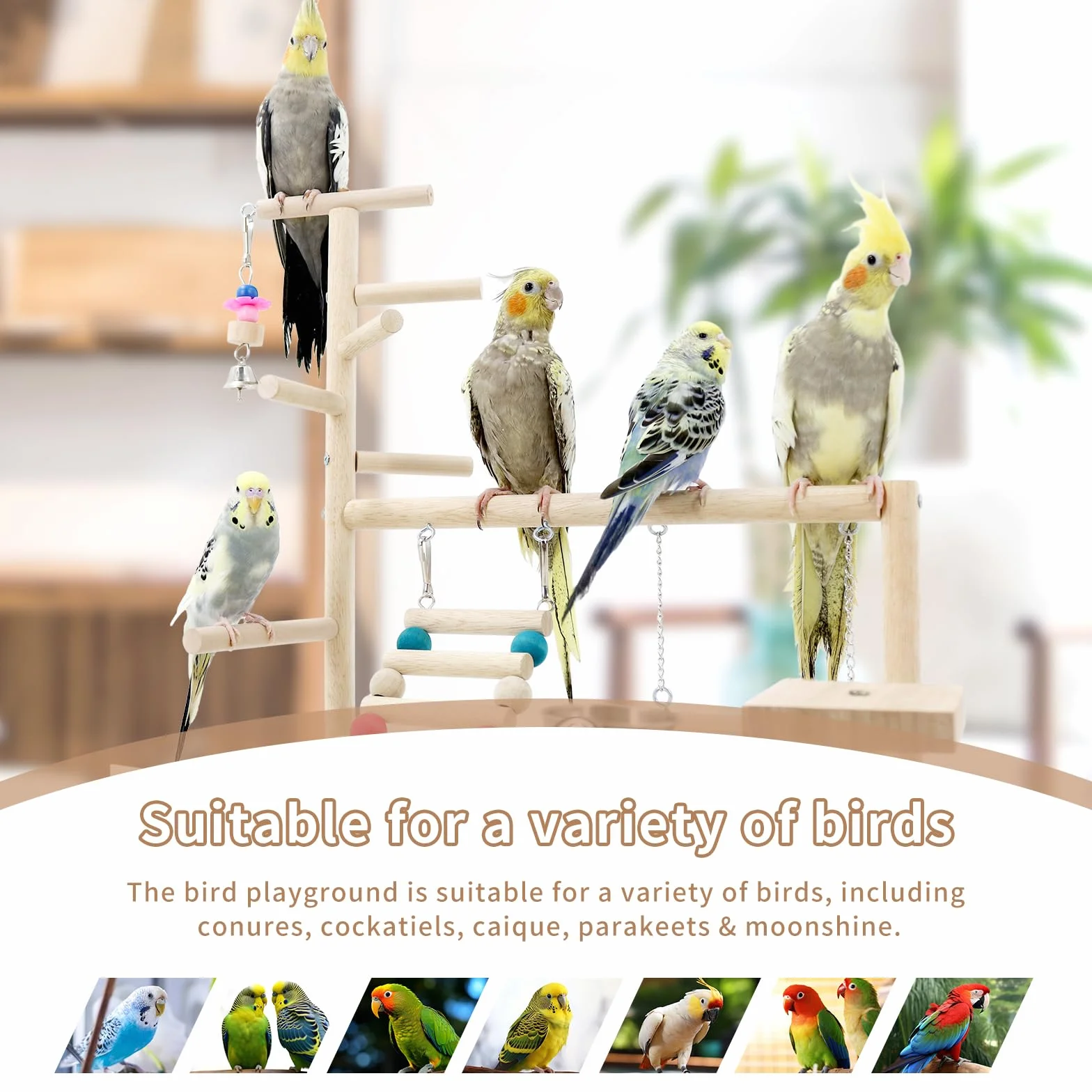 Stojak do zabawy dla ptaków Cockatiels plac zabaw dla papugi Conures Cockatoos
