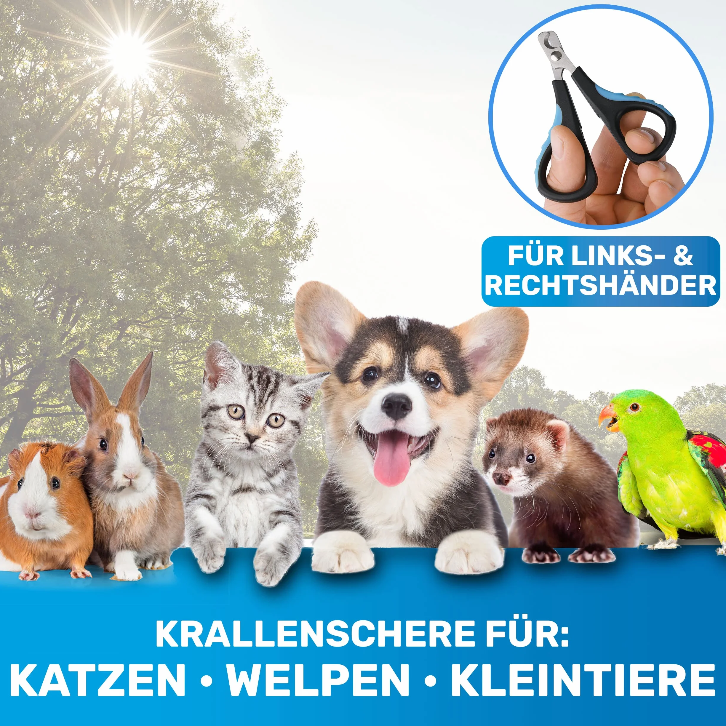 BluePet Mini nożyce do pazurów dla kotów, psów, królików i szczeniaków I proste i bezpieczne w przypadku ciasno przylegających pazurów I mały obcinacz do pazurów i nożyczki do paznokci I obcinacz do