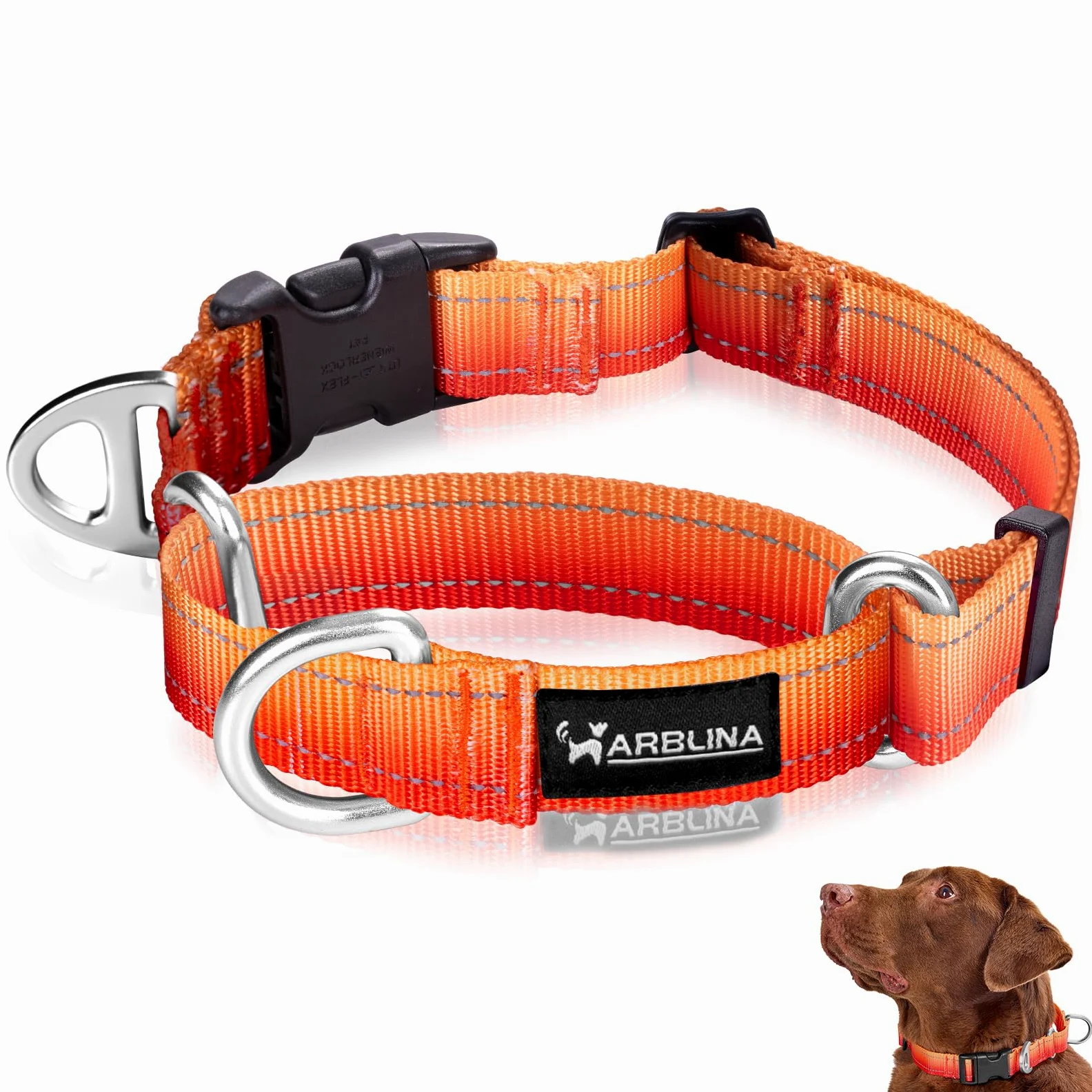 Obroża dla psa odblaskowa przeciw trakcji nylonowa pomarańczowa Arblina Martingala dla Whippets Greyhounds Saluki American Bully