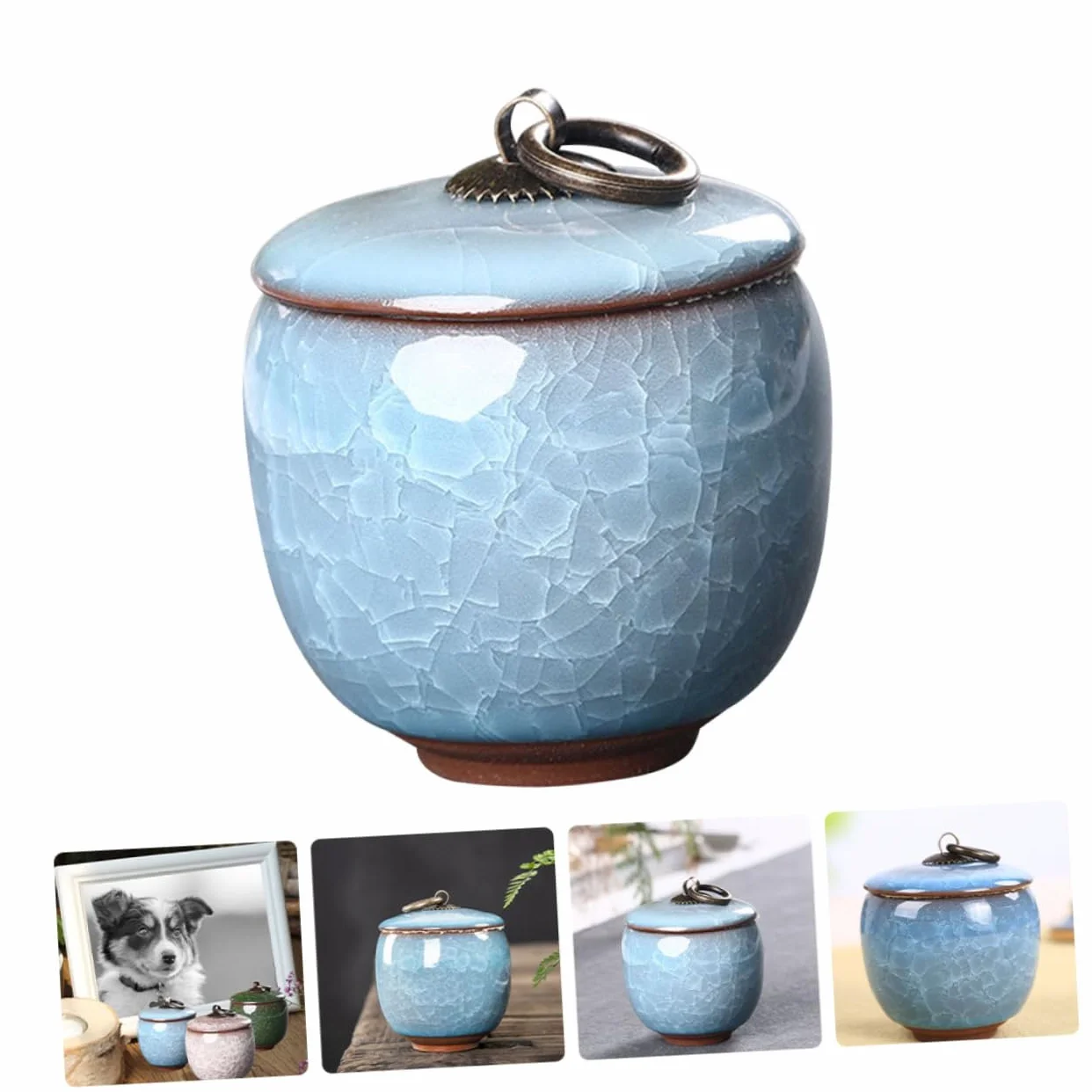 FRCOLOR Ceramiczna popielniczka dla zwierząt domowych, porcelanowy kufel na popiół, zamknięty pojemnik