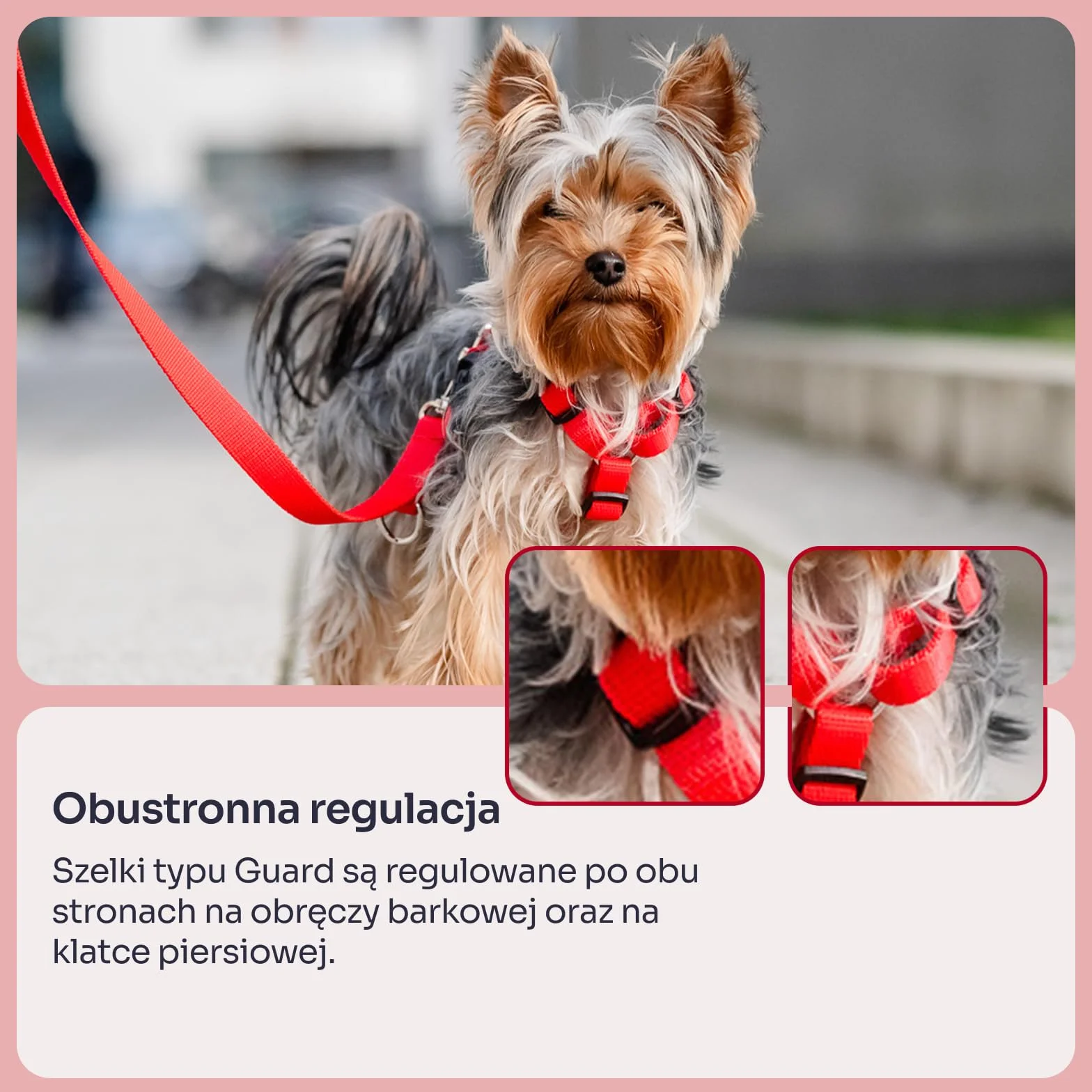 Chaba Szelki dla Małego Psa Guard | 5-cio stopniowa regulacja | Mocne zatrzaski | Ergonomiczne, Bezuciskowe, Lekkie, Regulowane, Solidne, Mocne, Wygodne | NO SHARP | CZERWONE | M