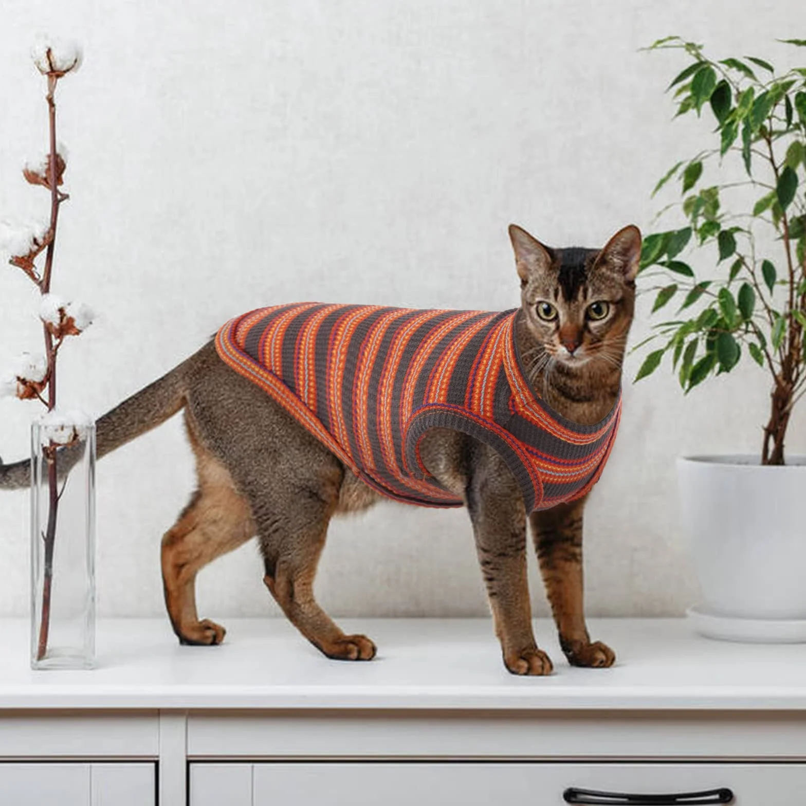 Oddychająca koszulka bez rękawów dla kota Sfinks, Cornish Rex, Devon Rex - letnia odzież w paski