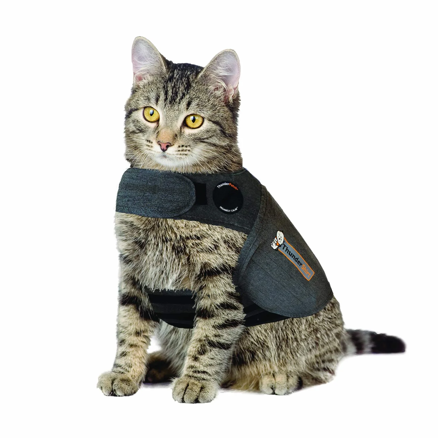 Thundershirt Dla kotów M