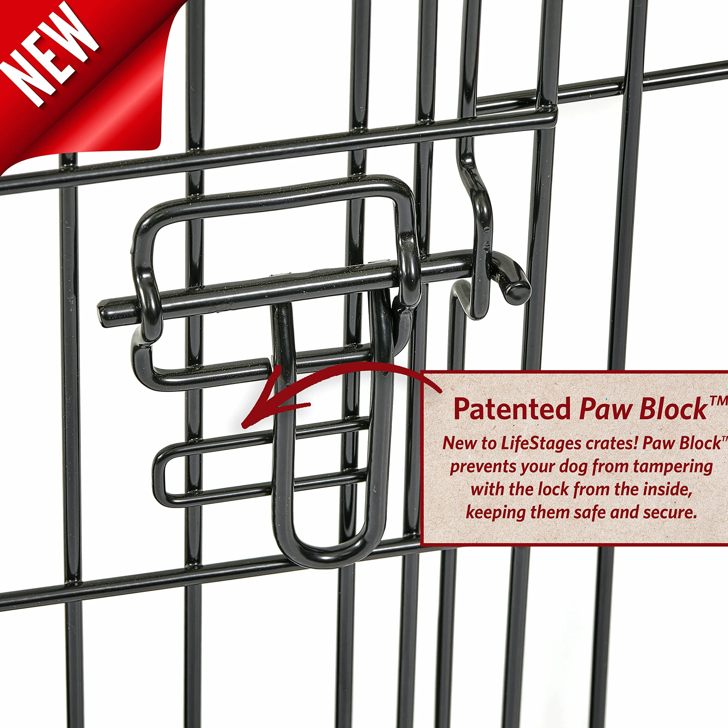 MidWest Homes for Pets XS LifeStages Double Door 22-Inch Folding Dog Crate, Enhanced Security, Includes Leak-Proof Pan, Divider Panel, Handle, Rubber Feet