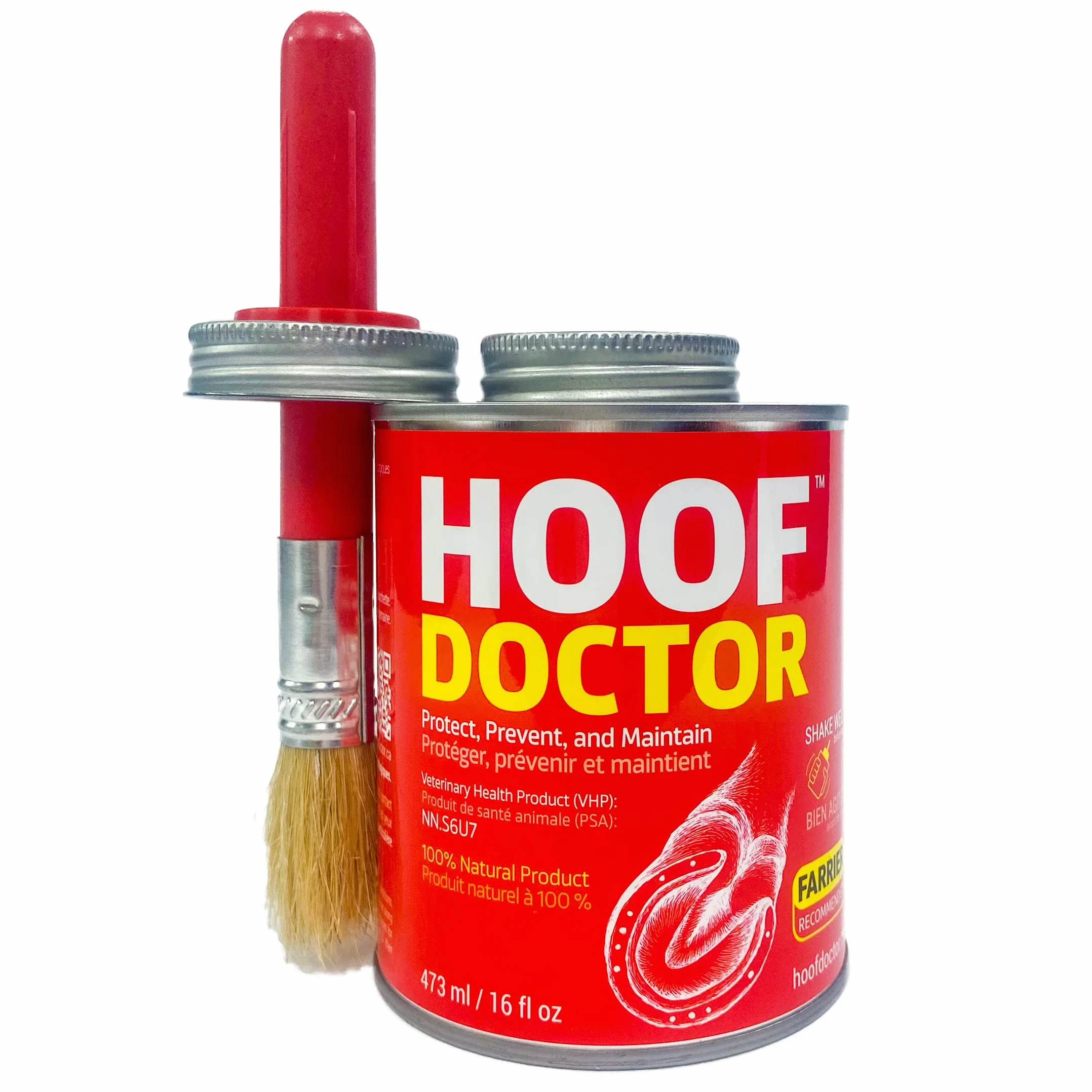 Hoof Doctor - White Line | Thrush | Abscesses | Quarter Crack | Seedy Toe | Corns and Sole Bruises - 100% All-Natural Hoof Care Product - Birch Bark Extract, Betulin, Omega-3 with Vits A & D (16 Oz)