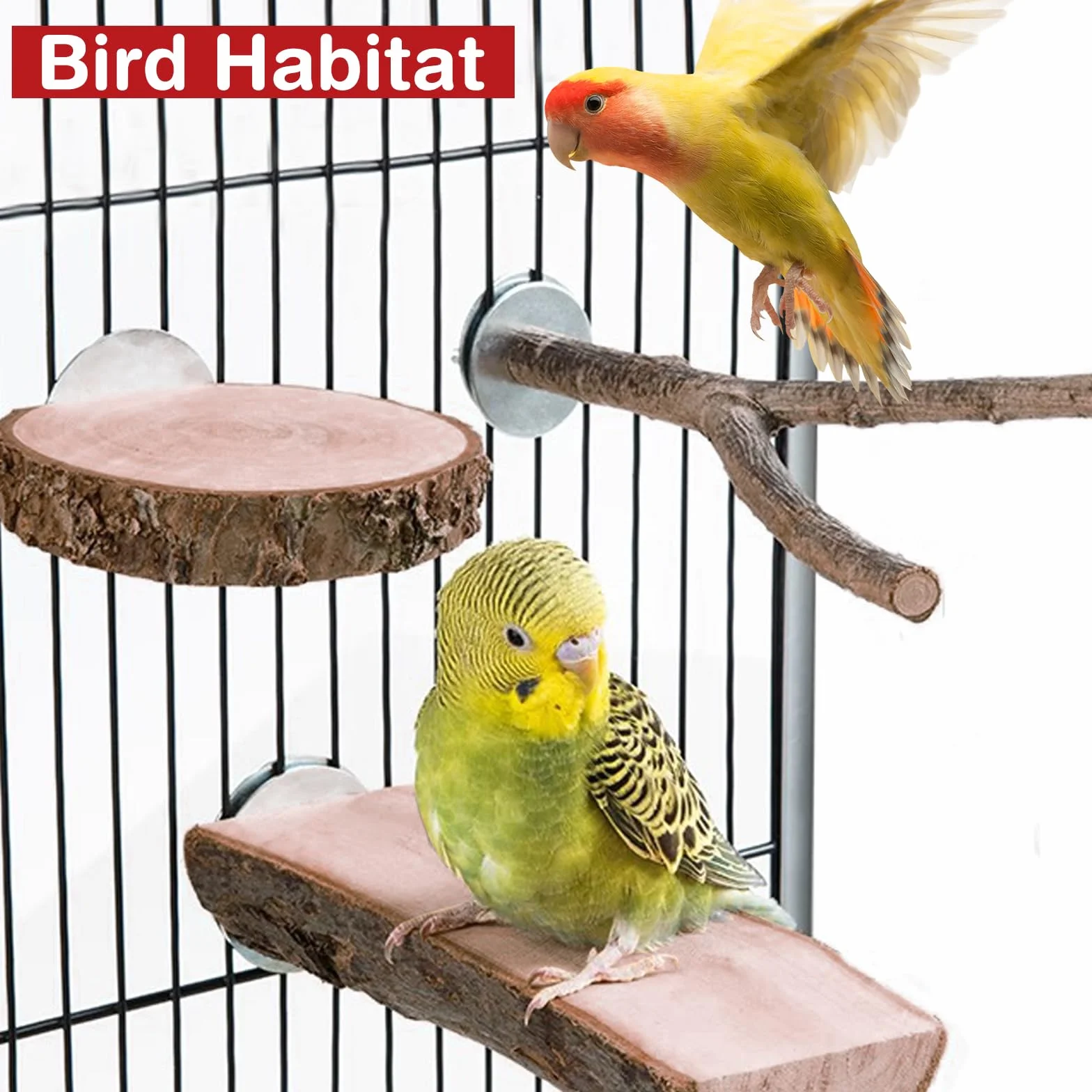 Naturalna drewniana belka dla ptaków - huśtawka i akcesoria do klatek papug