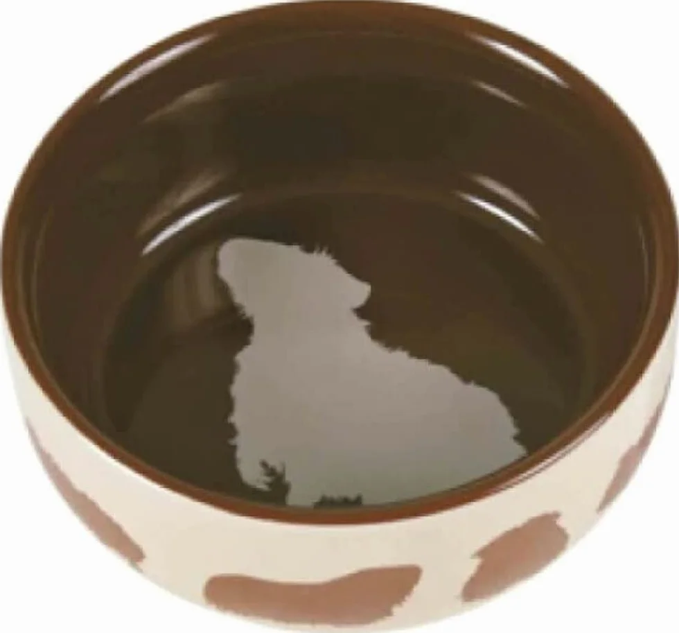 TX-60732 Ceramic Bowl for Gwinea Pigs 250 ml, 11 cm, posortowane kolorystycznie