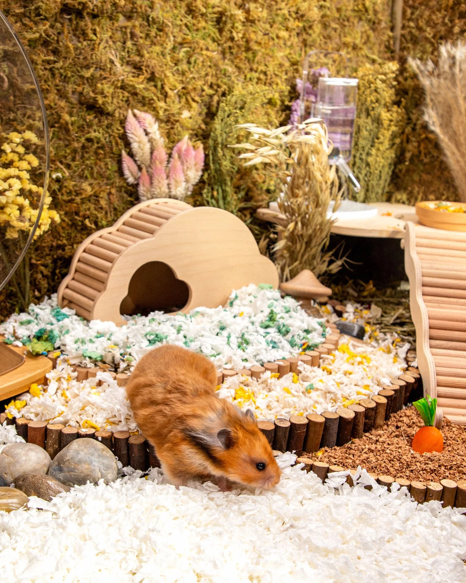 Niteangel Osika do golenia chomika dla chomika syryjskiego karłowatego chomika myszoskoczków degu szczur królik świnka morska szynszyla jeż lub inne małe zwierzęta (36 l - biała pościel papierowa)