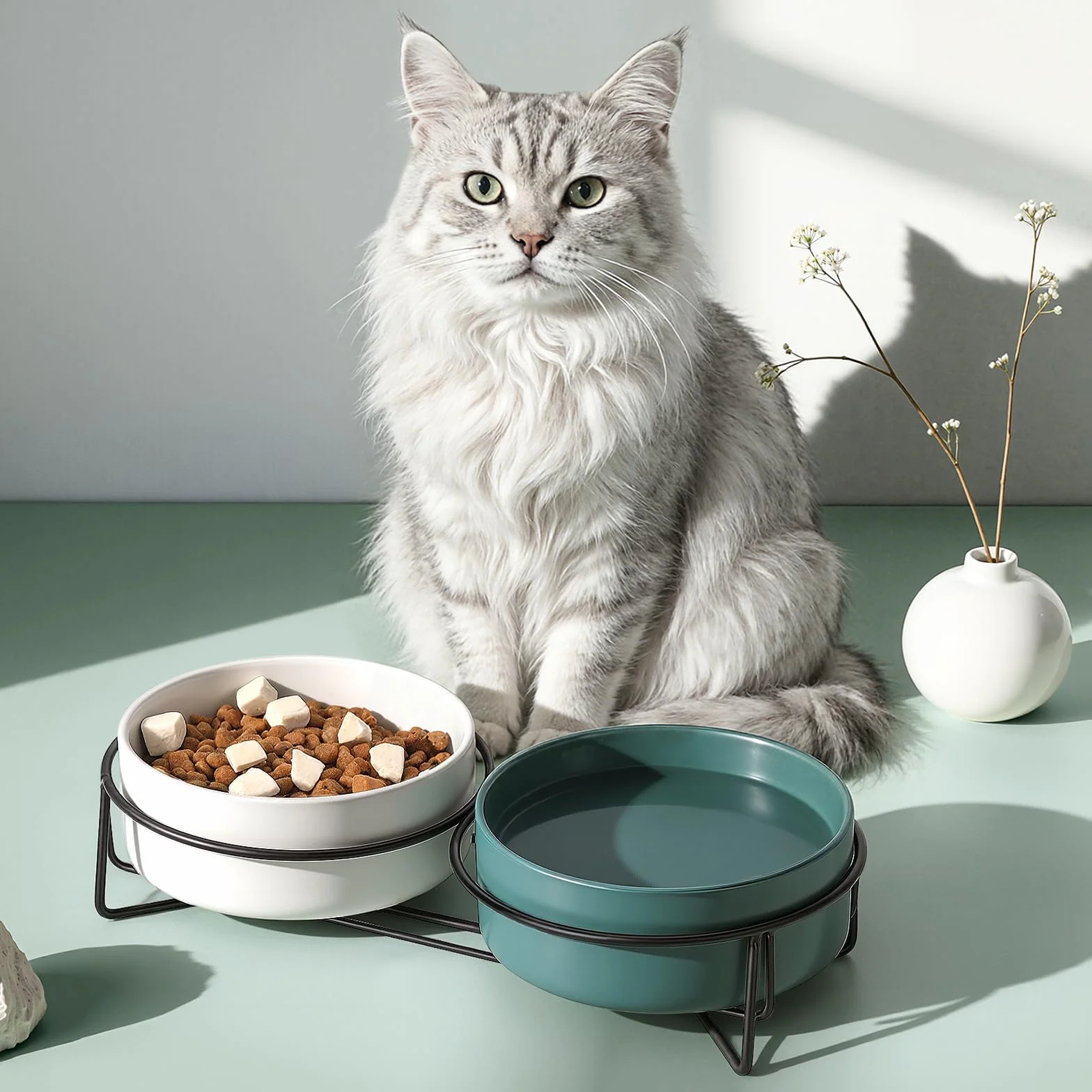 PETTOM Podwyższone miski dla kotów, ceramiczne, podwójne miski na karmę dla kotów i wody, zestaw ze stalowymi stojakami dla kotów i małych psów, przeciw wymiotom, ochrona kręgosłupa