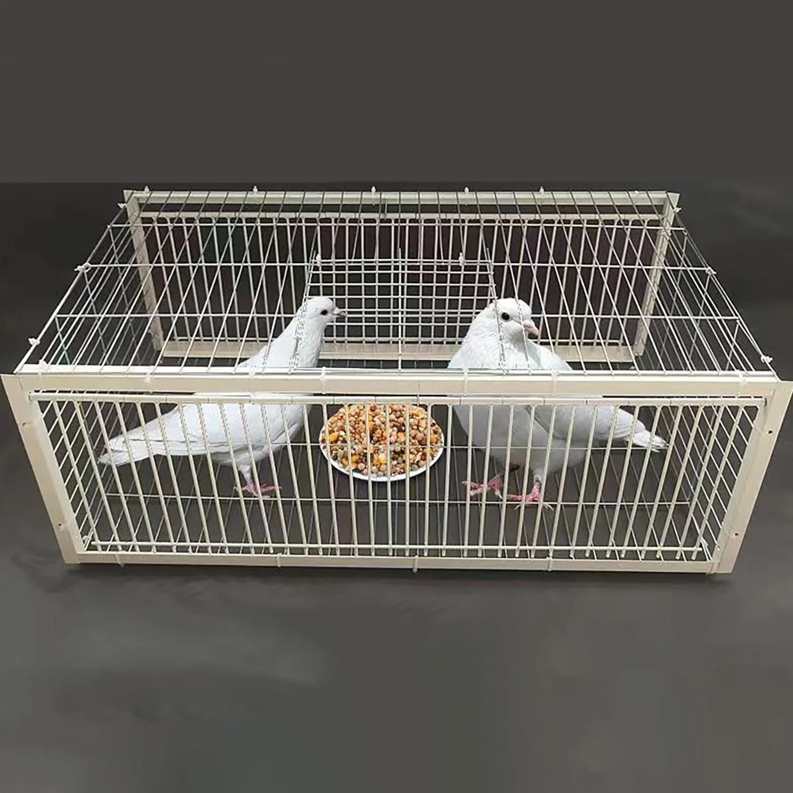 Klatka pułapka na ptaki, klatka pułapka na ptaki, drzwi dla gołębi, 40/60/70/90/100 cm Drzwi kurnika dla gołębi wyścigowych, papug, okno (60 x 60 x 26 cm)