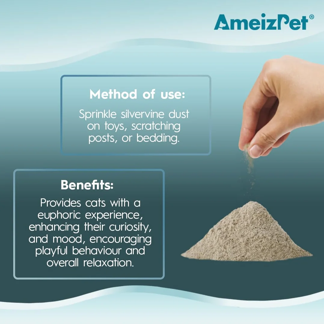 AmeizPet Silvervine Cat Dust, kocimiętka alternatywna do treningu i zabawy, pył behawioralny dla kotów i kociąt 35 g (0.08 Oz)