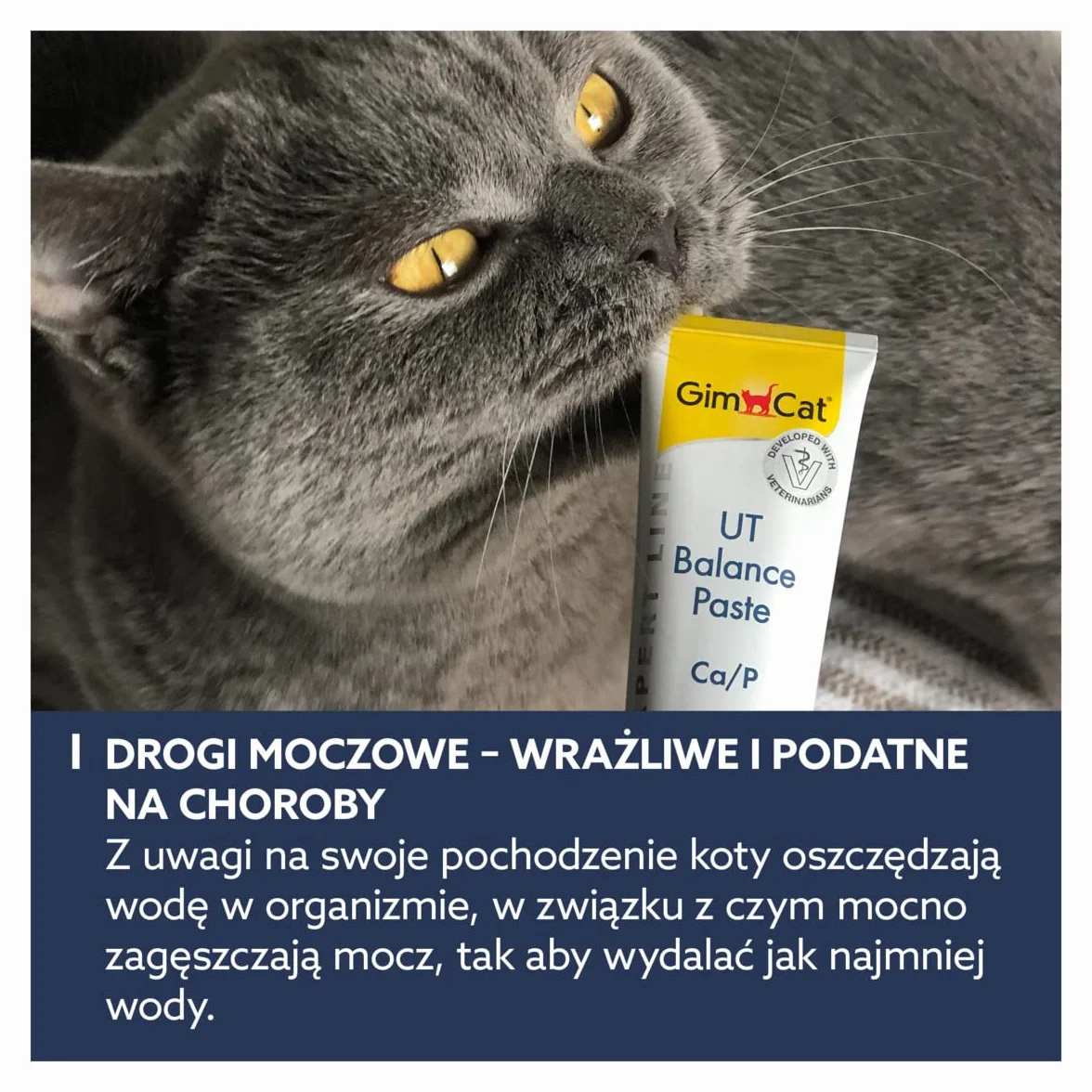 GimCat EXPERT LINE UT Balance pasta - Funkcjonalny przysmak dla kotów, wspomagający drogi moczowe - 1 tubka (1 x 50 g)