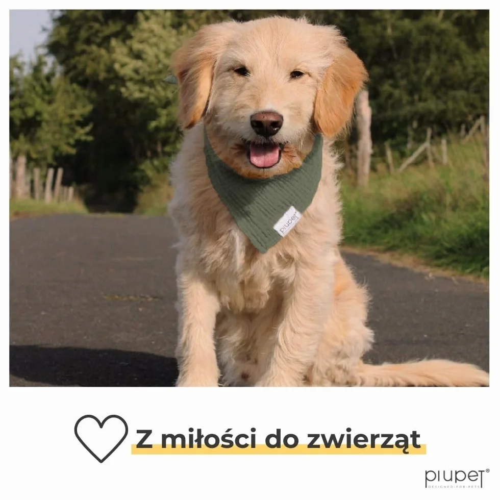 PiuPet® Bandany dla psów (S) - Fioletowy/różowy - Zestaw 2 bandan dla psów - Stylowe bandany dla dużych i małych psów - Ubranka i akcesoria dla psów