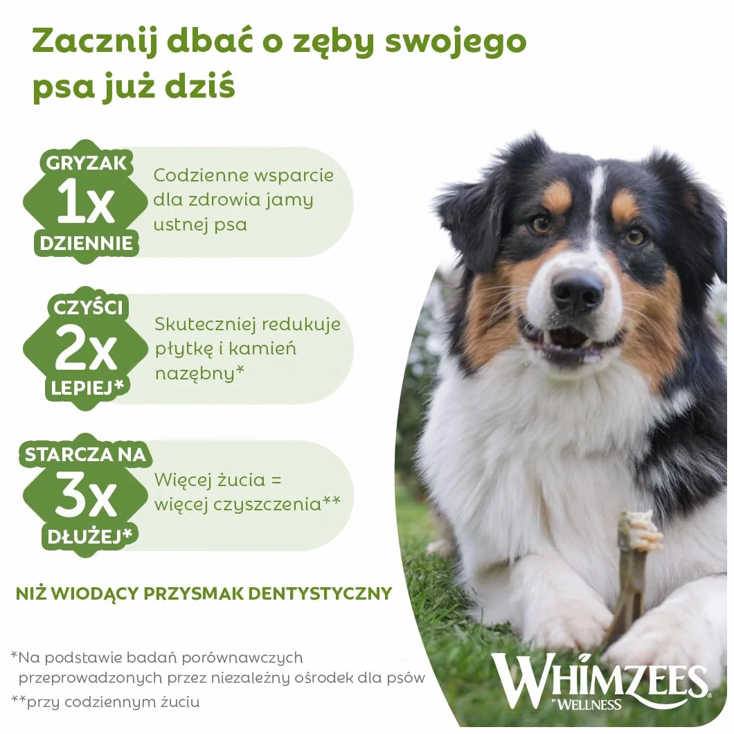 WHIMZEES Szczoteczka L, 6 Sztuk – Rozmiar L, Gryzaki Dentystyczne dla Dużych Psów, Naturalne, Bezzbożowe, Bez Dodatku Cukru