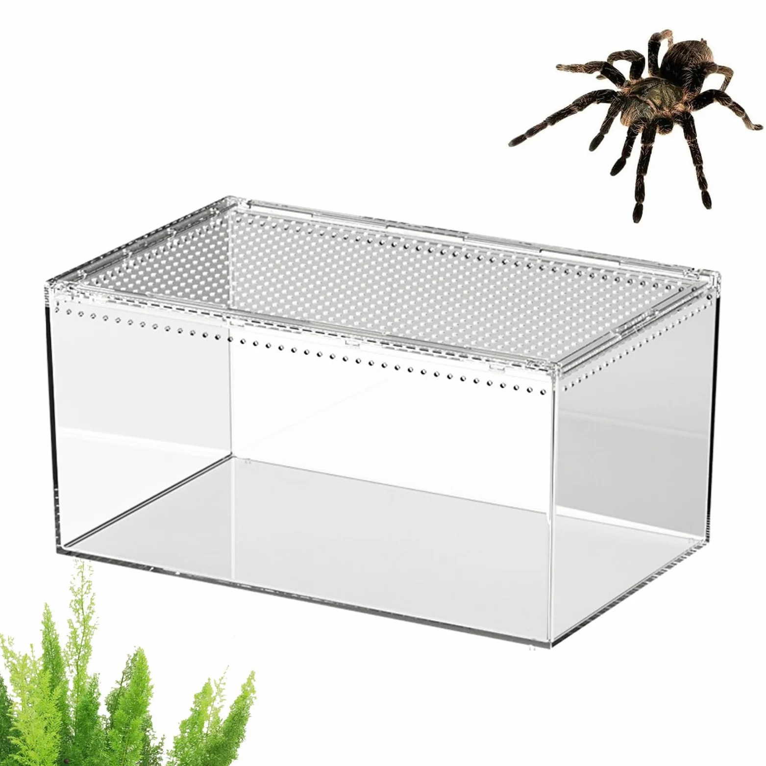 Terrarium Dla Skacz?cych Paj?ków | Akrylowy Przezroczysty Zbiornik | Siedliskowy Dla Gadów - Klatka Gadów | dla Gekonów W??y Kameleonów ?ó?wi