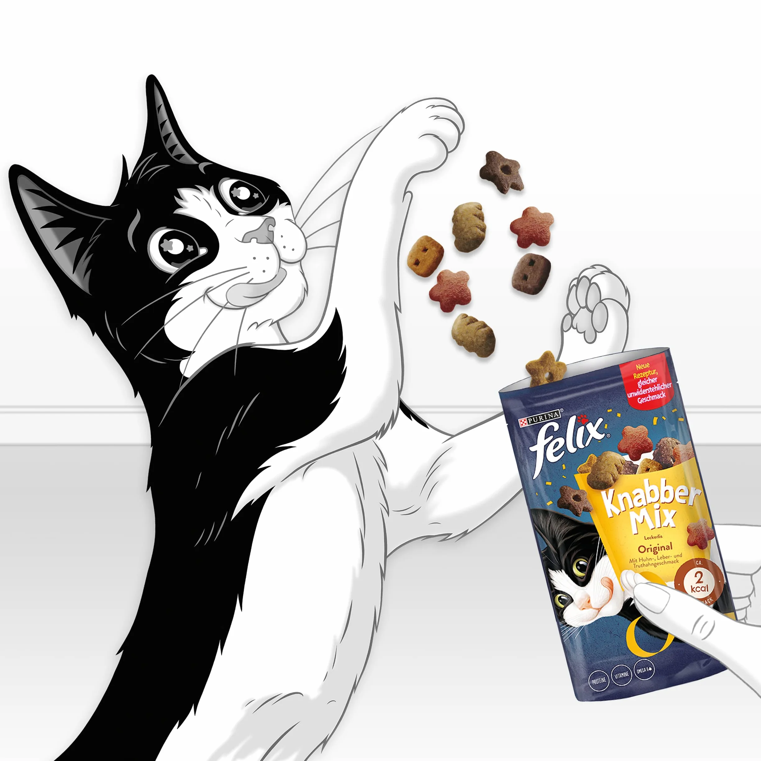 Felix Przekąska dla Kotów, Kurczak/Wątróbka/Indyk, 8 x 60 g