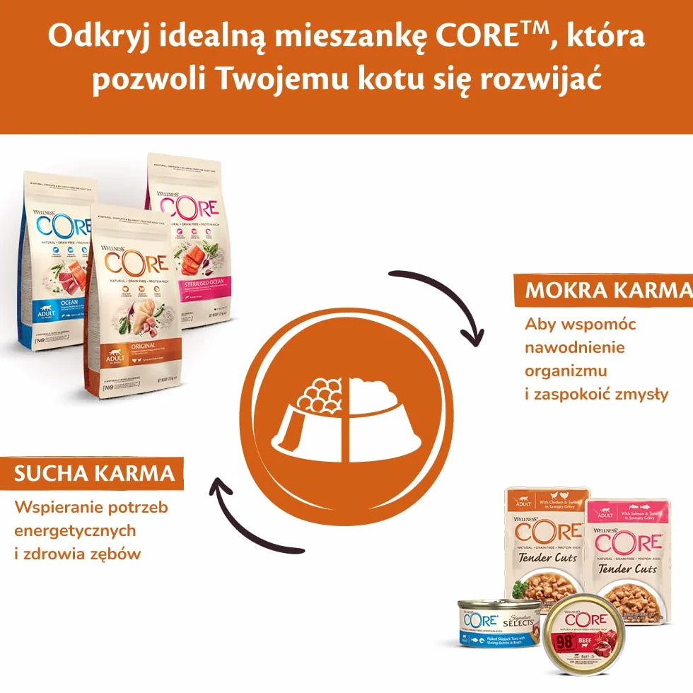 Wellness CORE Sterilised Ocean 1.75 kg Łosoś Sucha Karma dla Kotów Sterylizowanych Bezzbożowa