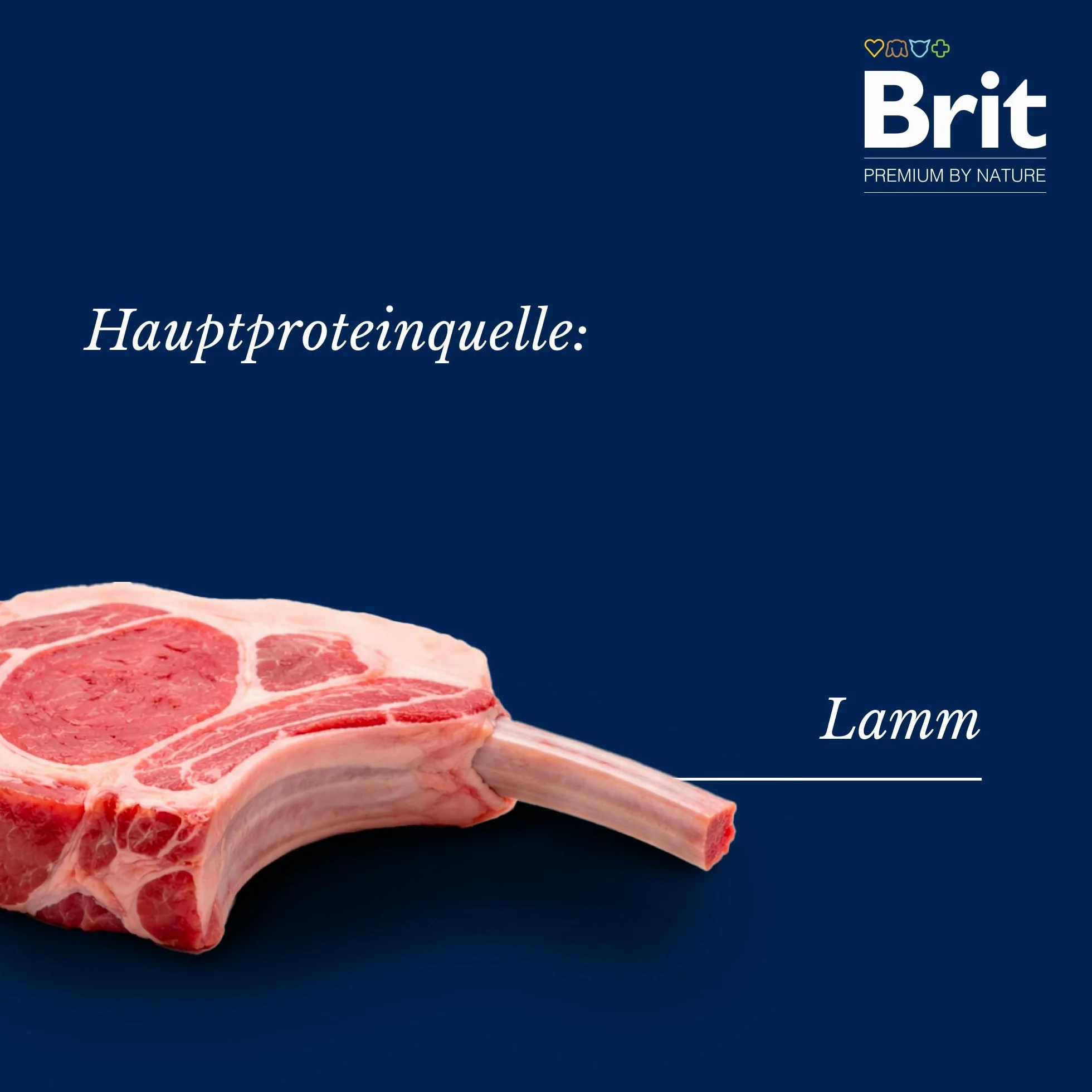 BRIT Premium by Nature Dog Sensitive Lamb 3 kg